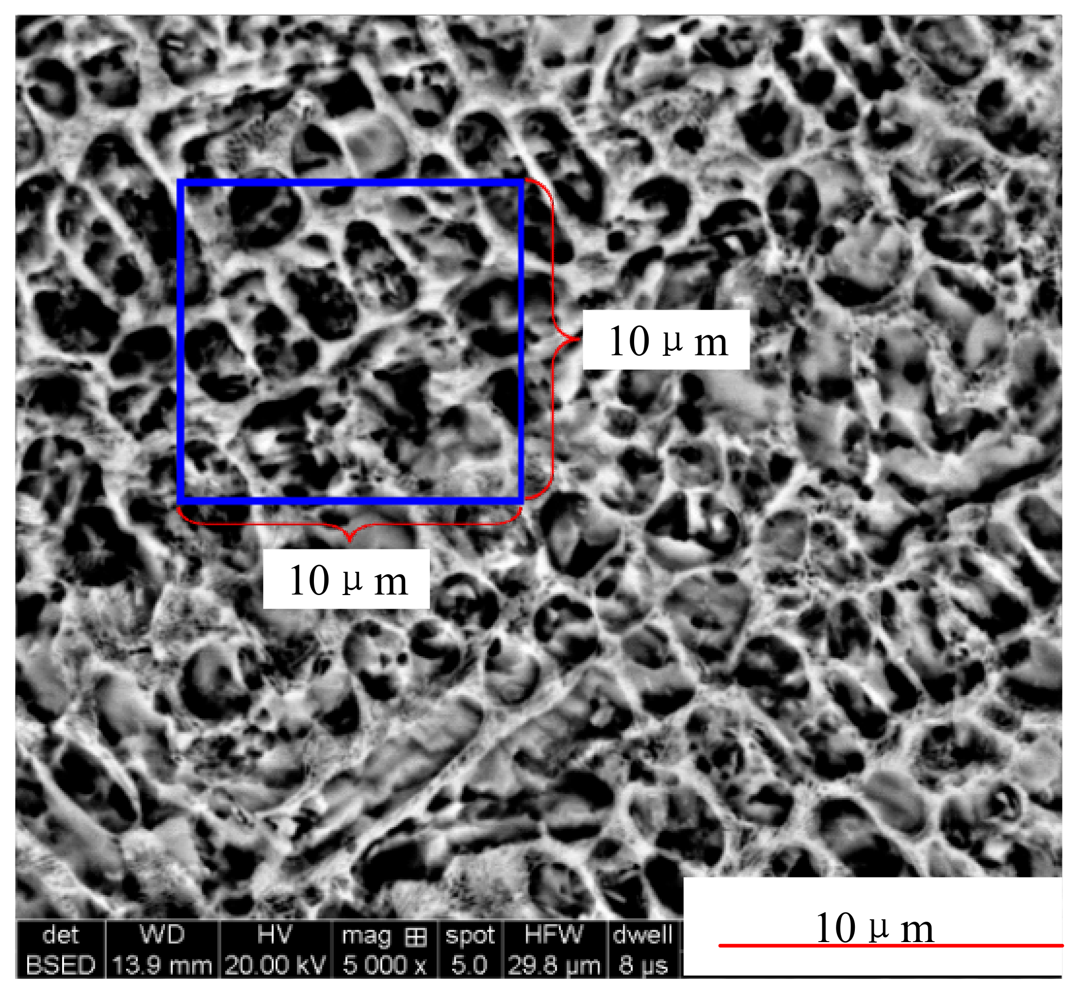 Applsci 10 00728 g014 Applsci 10 00728 g014