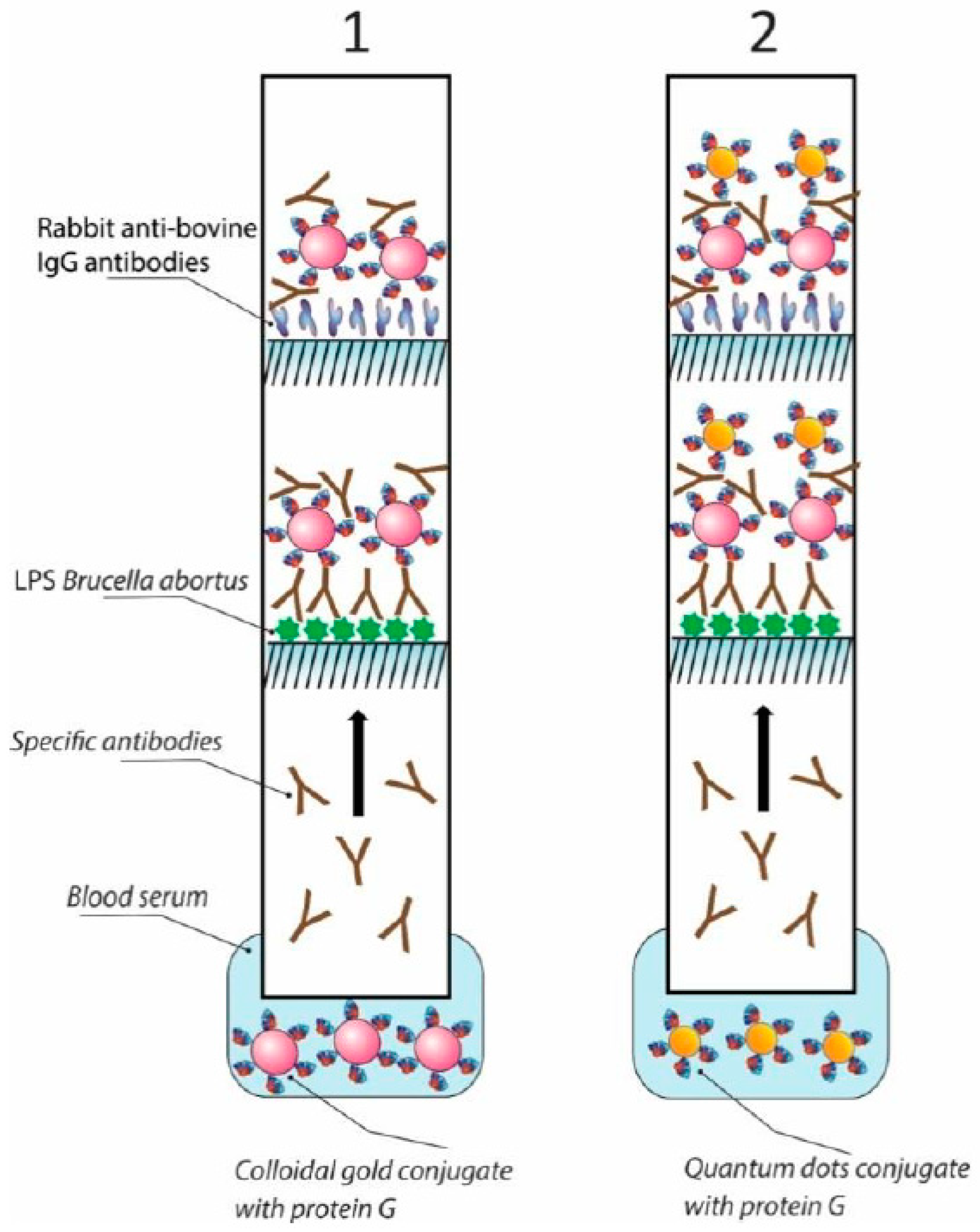 Applsci 10 00738 g003