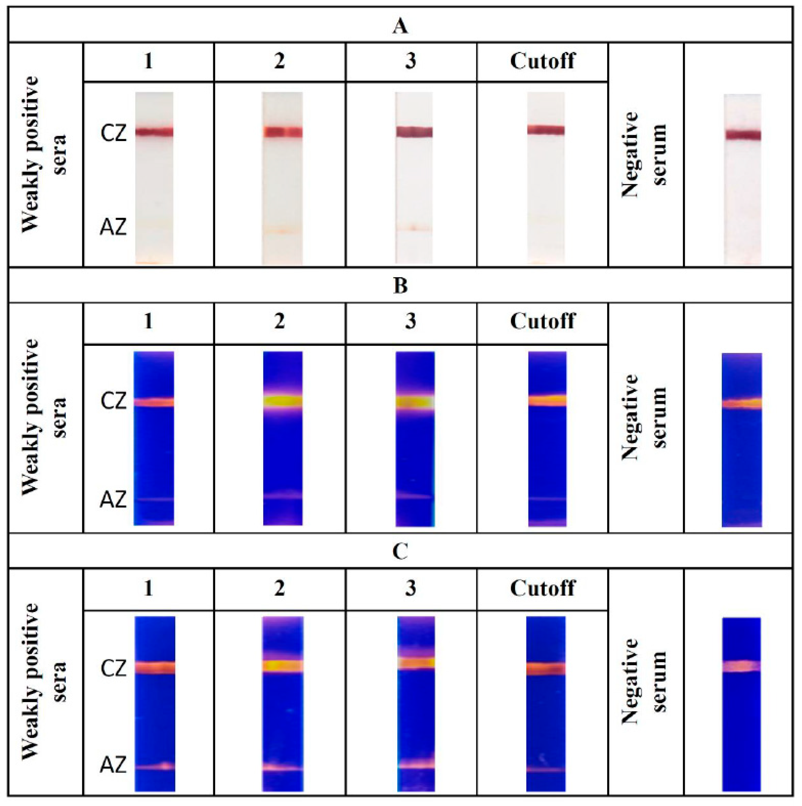 Applsci 10 00738 g004