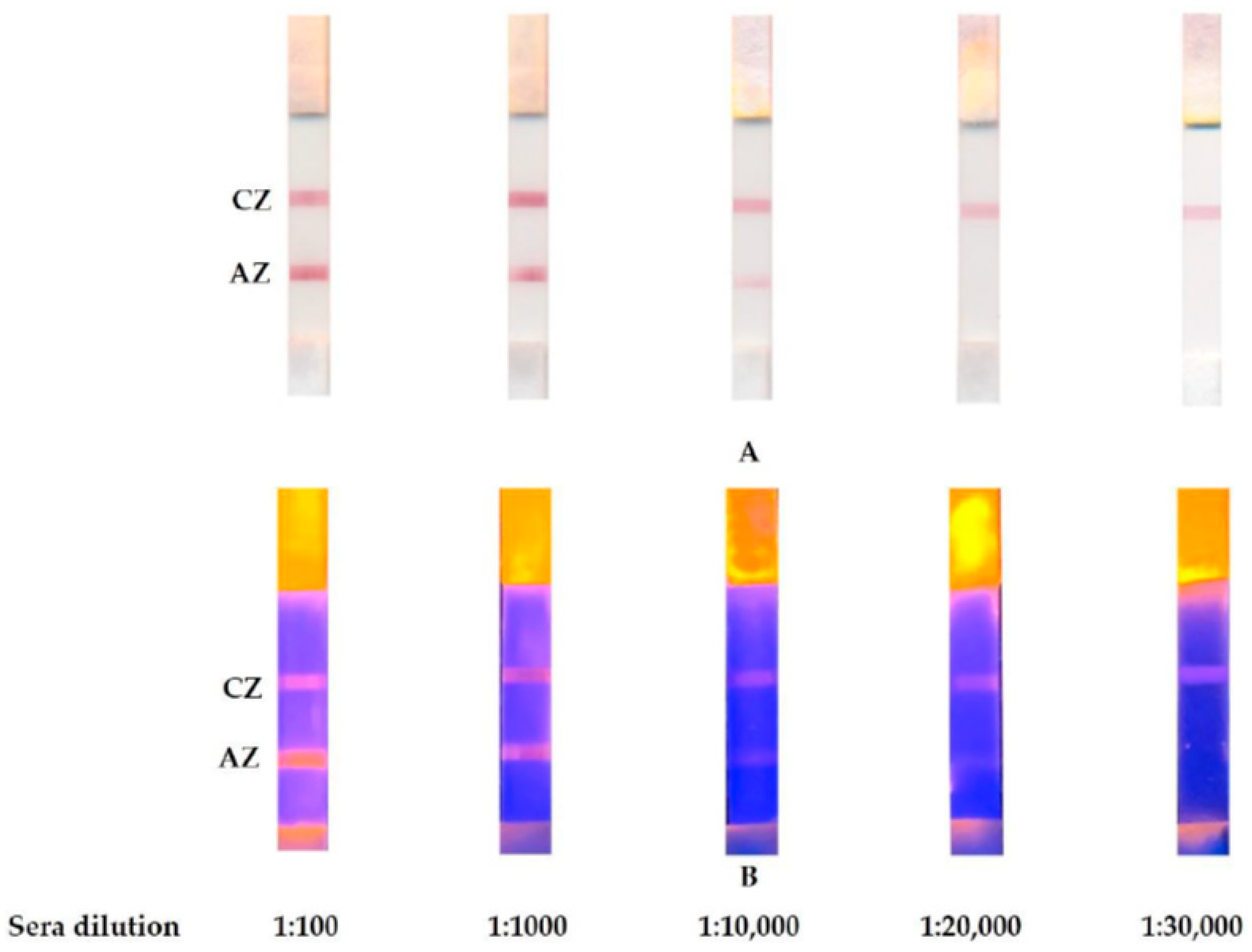 Applsci 10 00738 g005