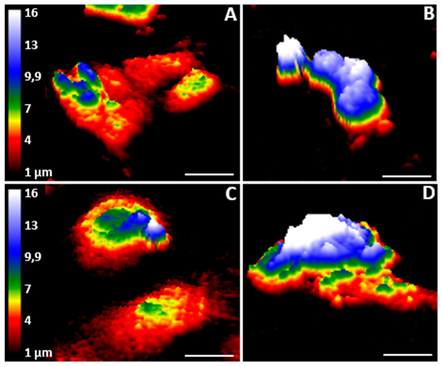 Applsci 10 00750 g003 Applsci 10 00750 g003