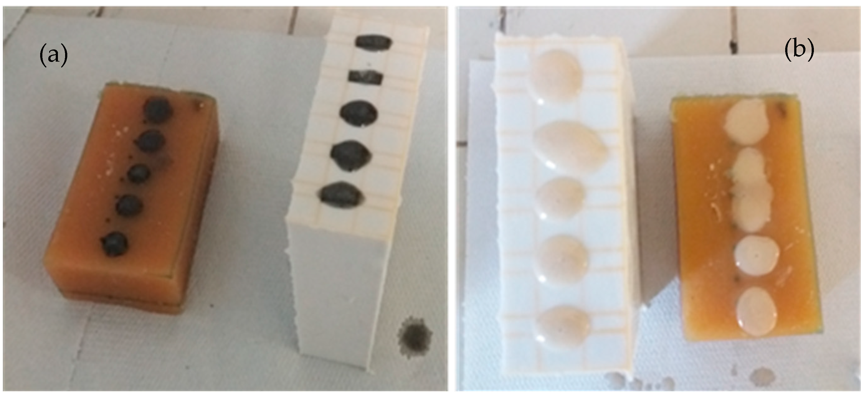 Applsci 10 00754 g002