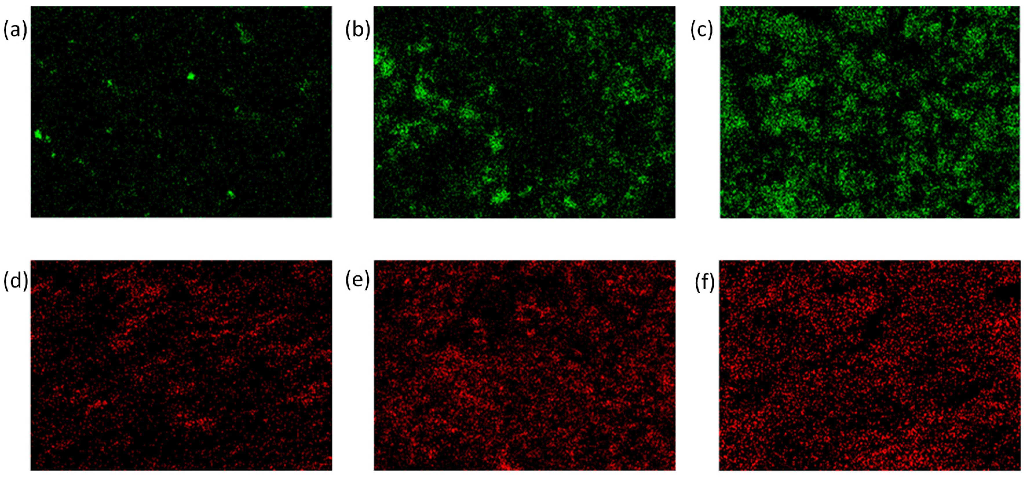 Applsci 10 00754 g008