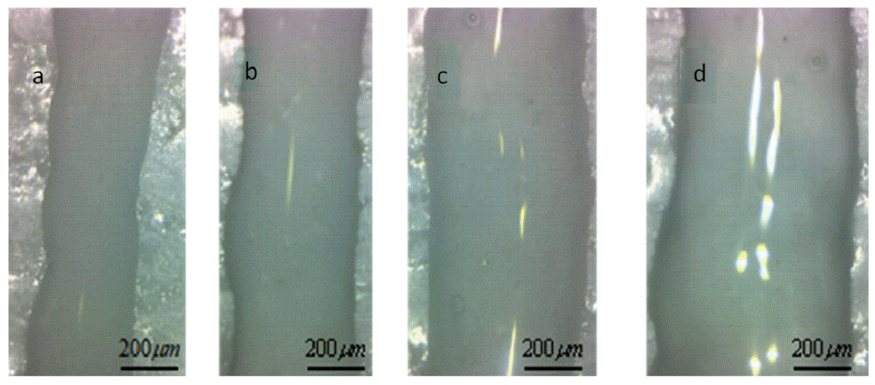 Applsci 10 00768 g008