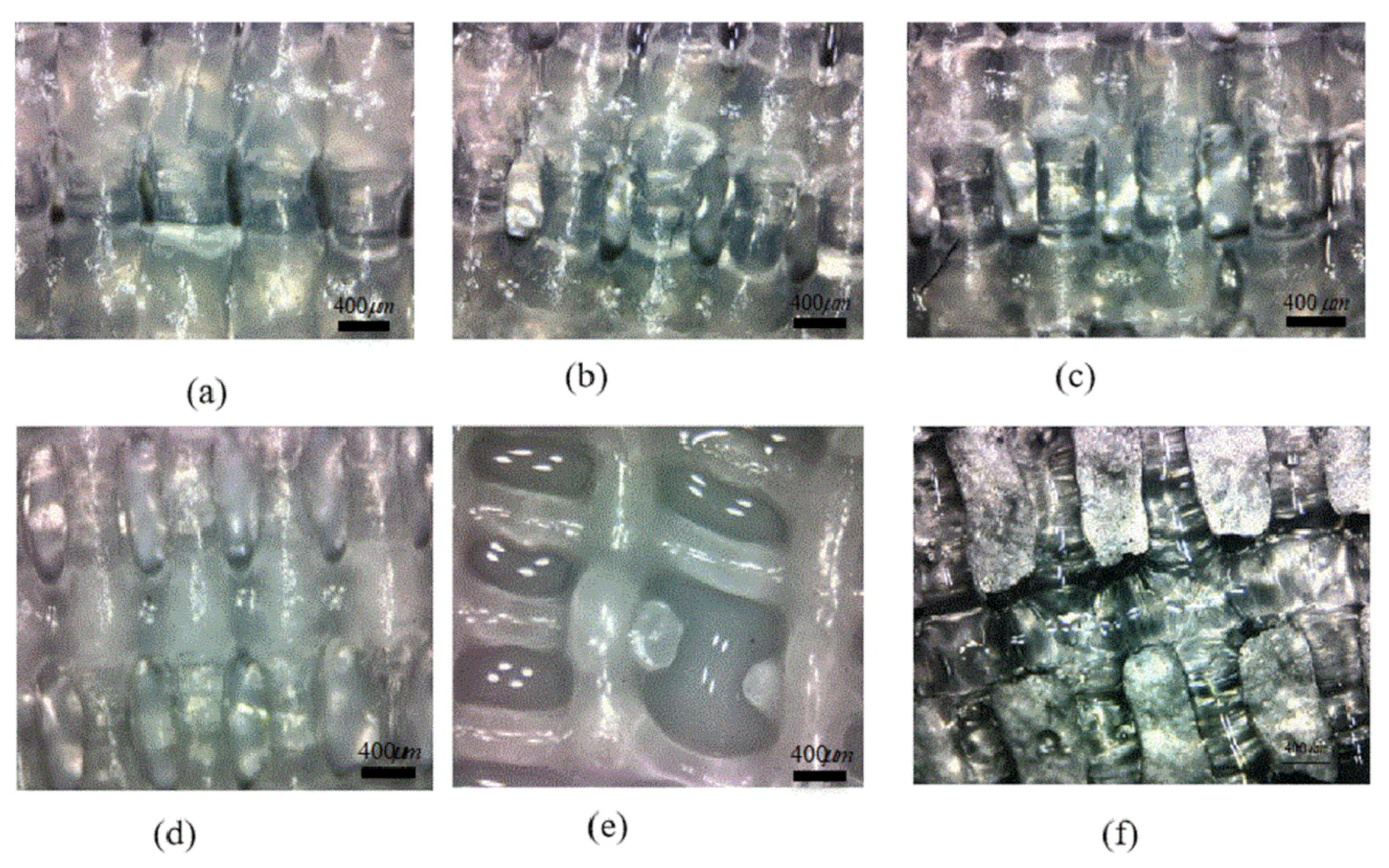 Applsci 10 00768 g010