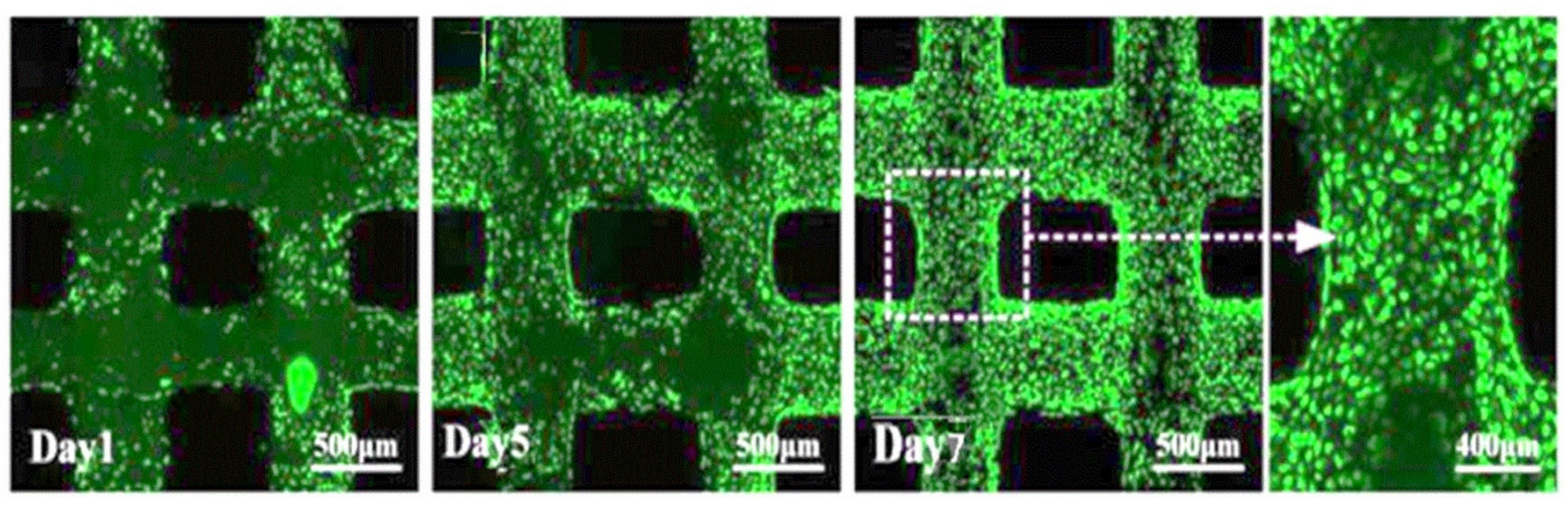 Applsci 10 00768 g018