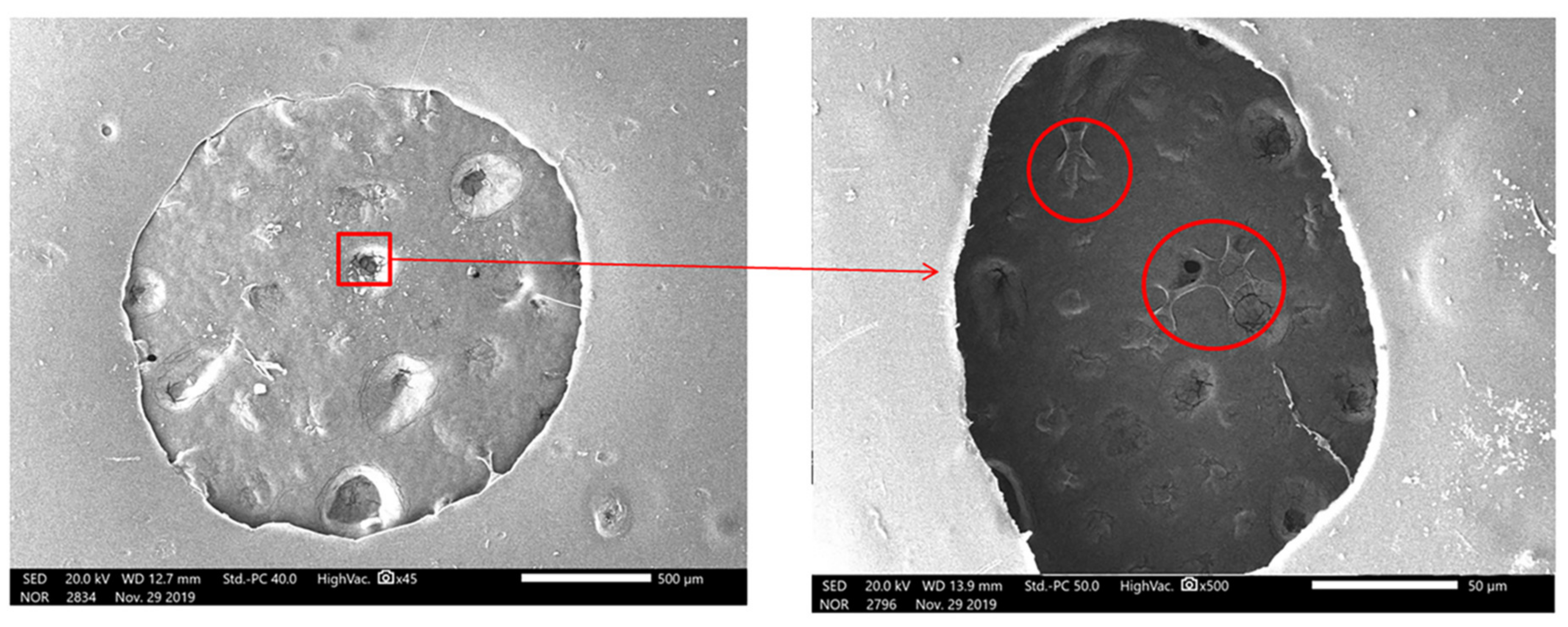 Applsci 10 00768 g019