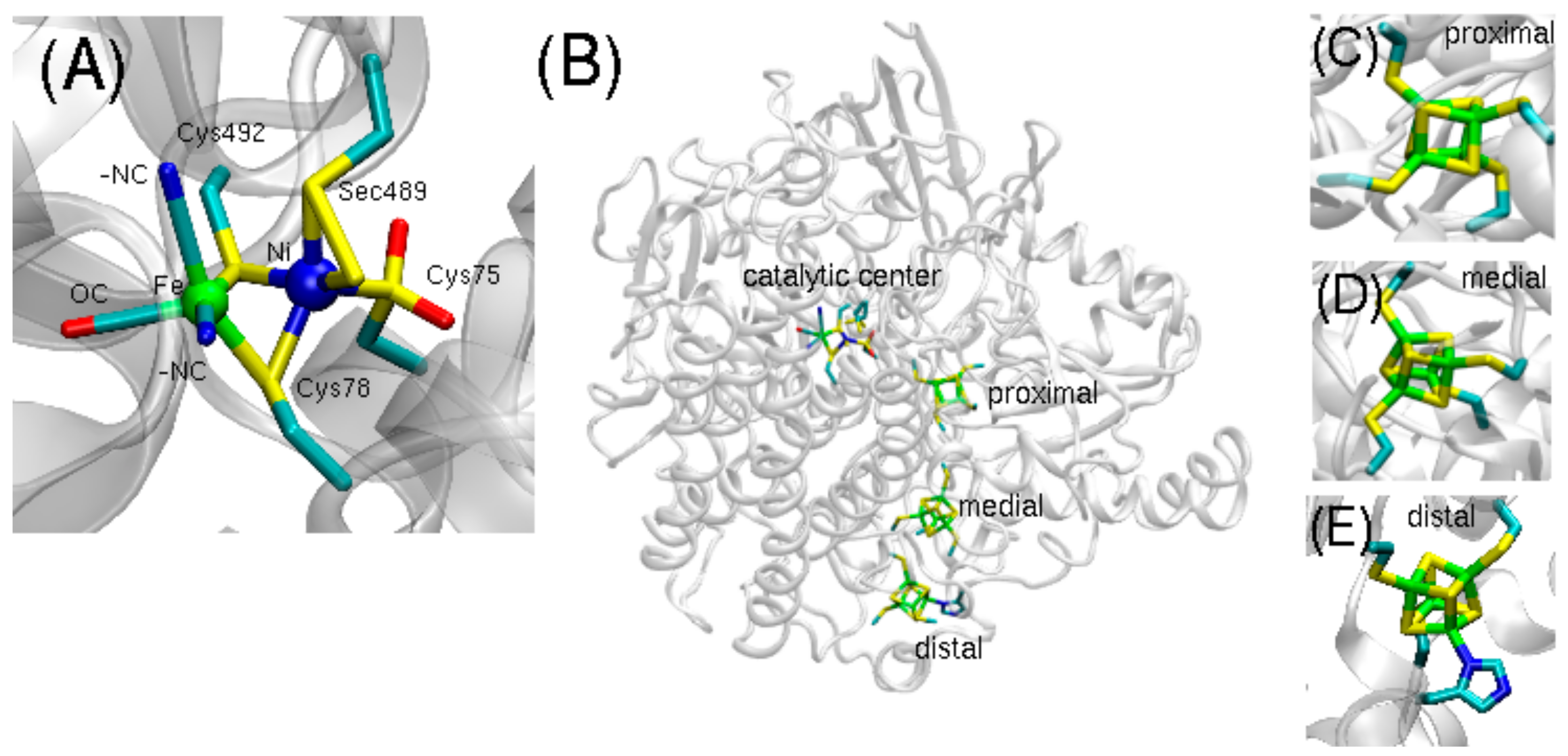 Applsci 10 00781 g001