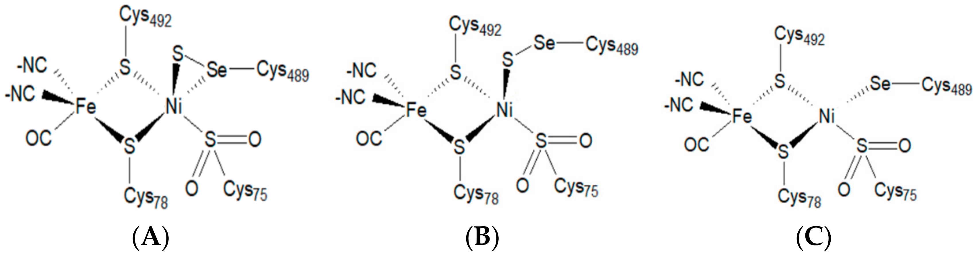 Applsci 10 00781 g002