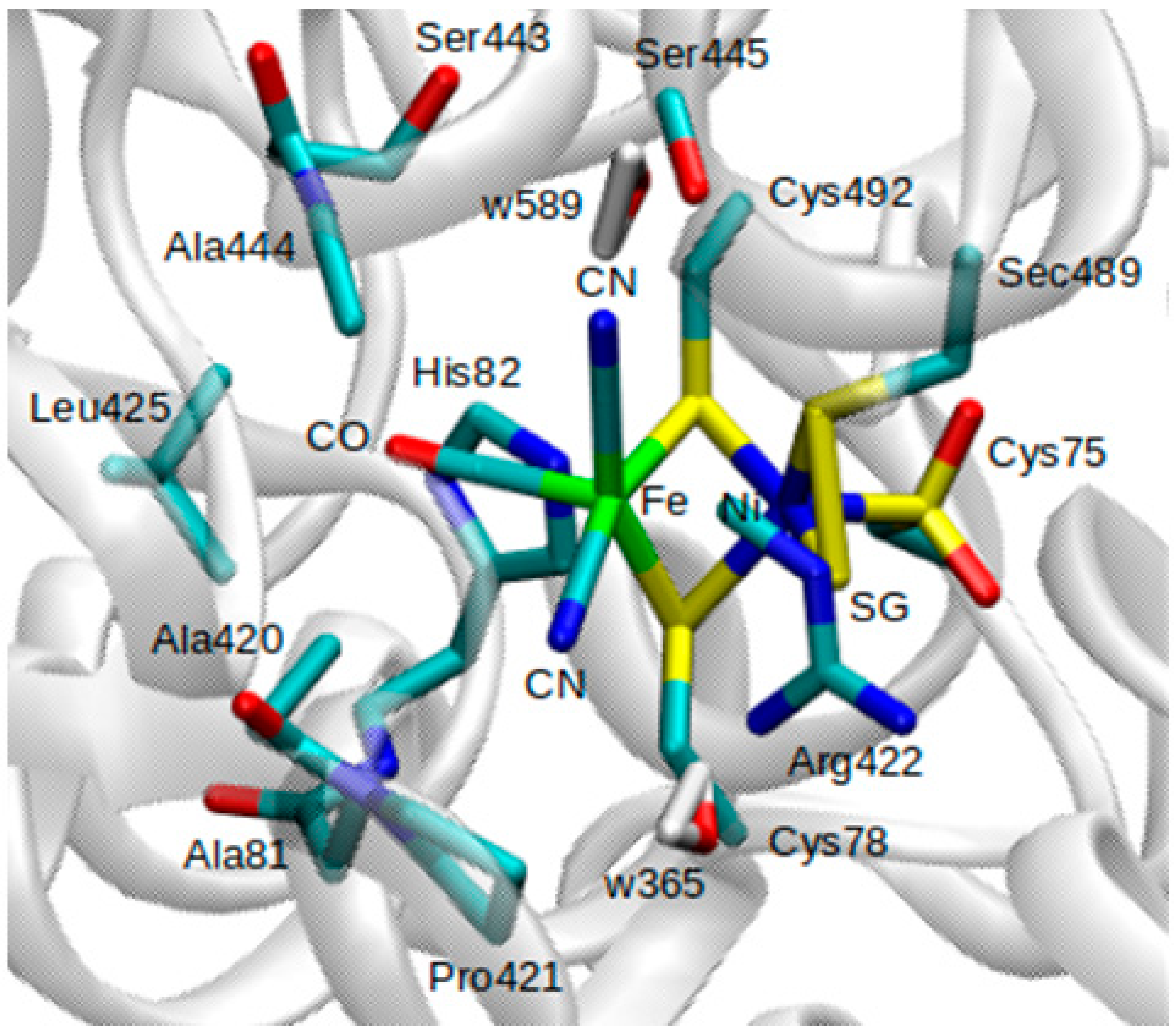 Applsci 10 00781 g003