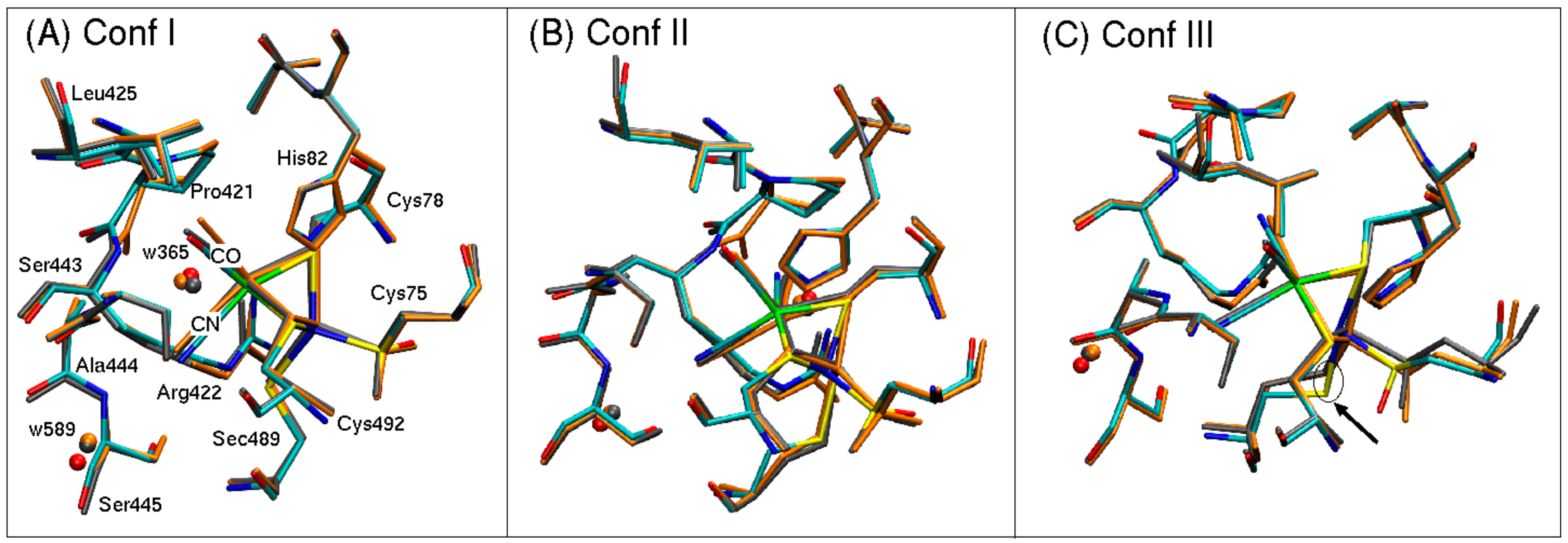 Applsci 10 00781 g005