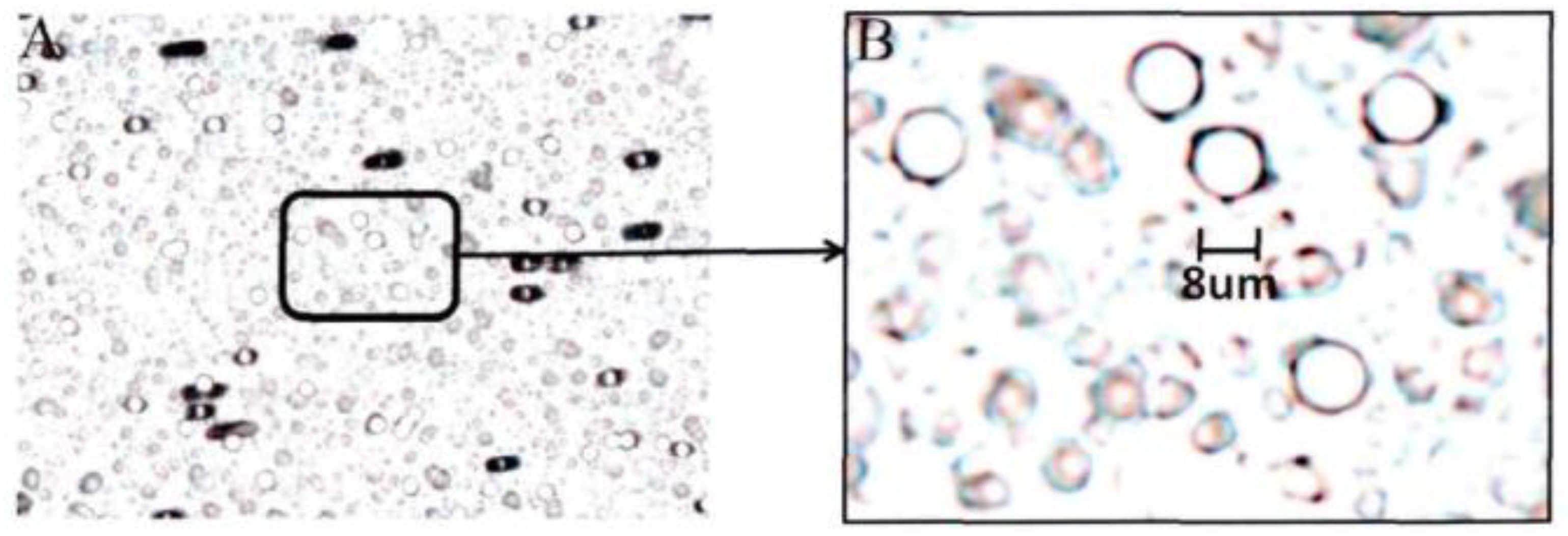 Applsci 10 00800 g002