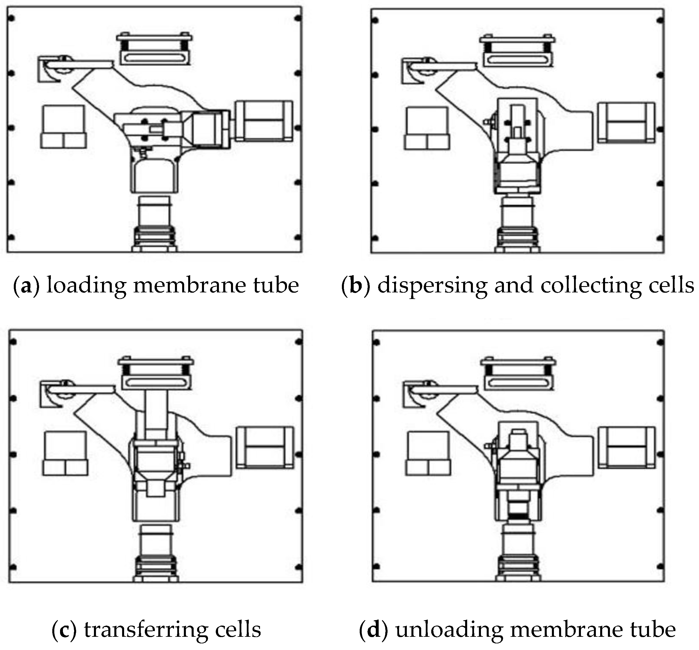 Applsci 10 00800 g004a