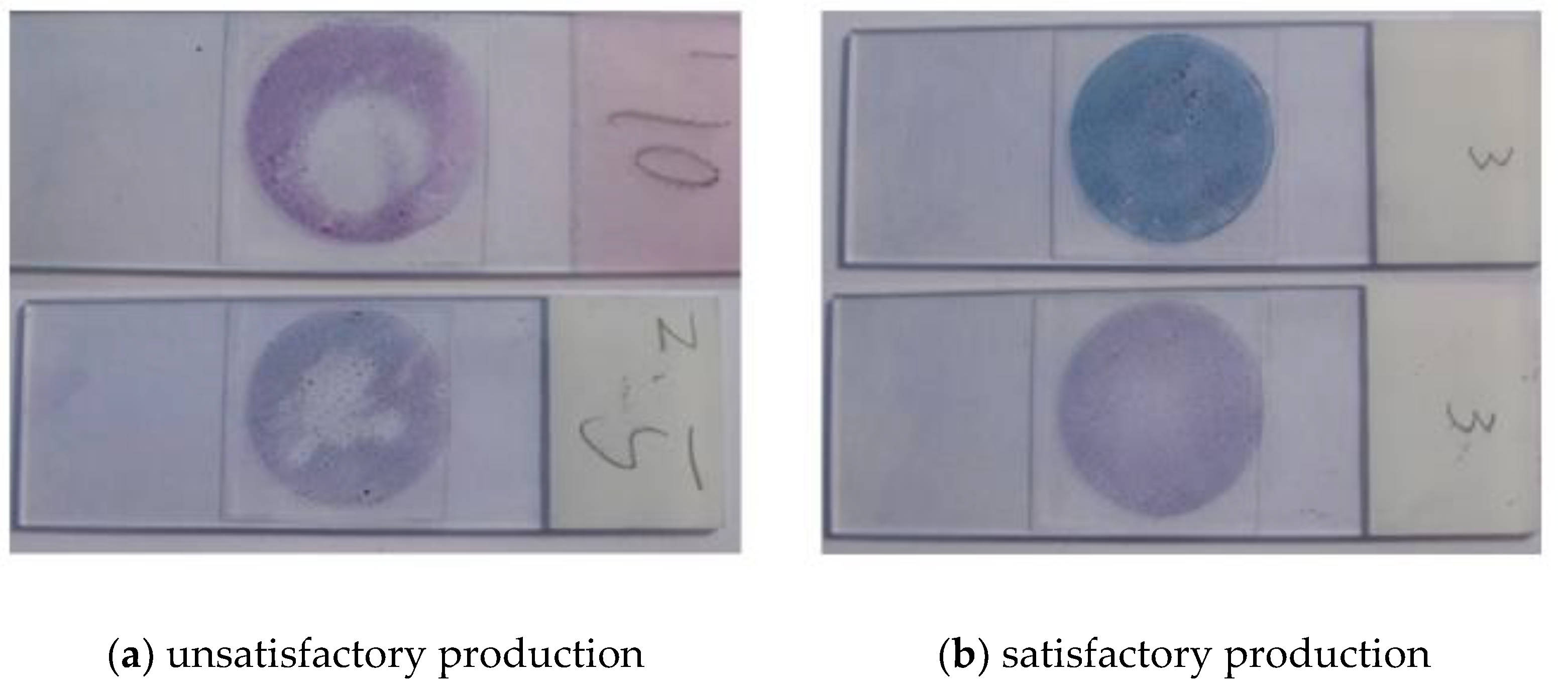 Applsci 10 00800 g011