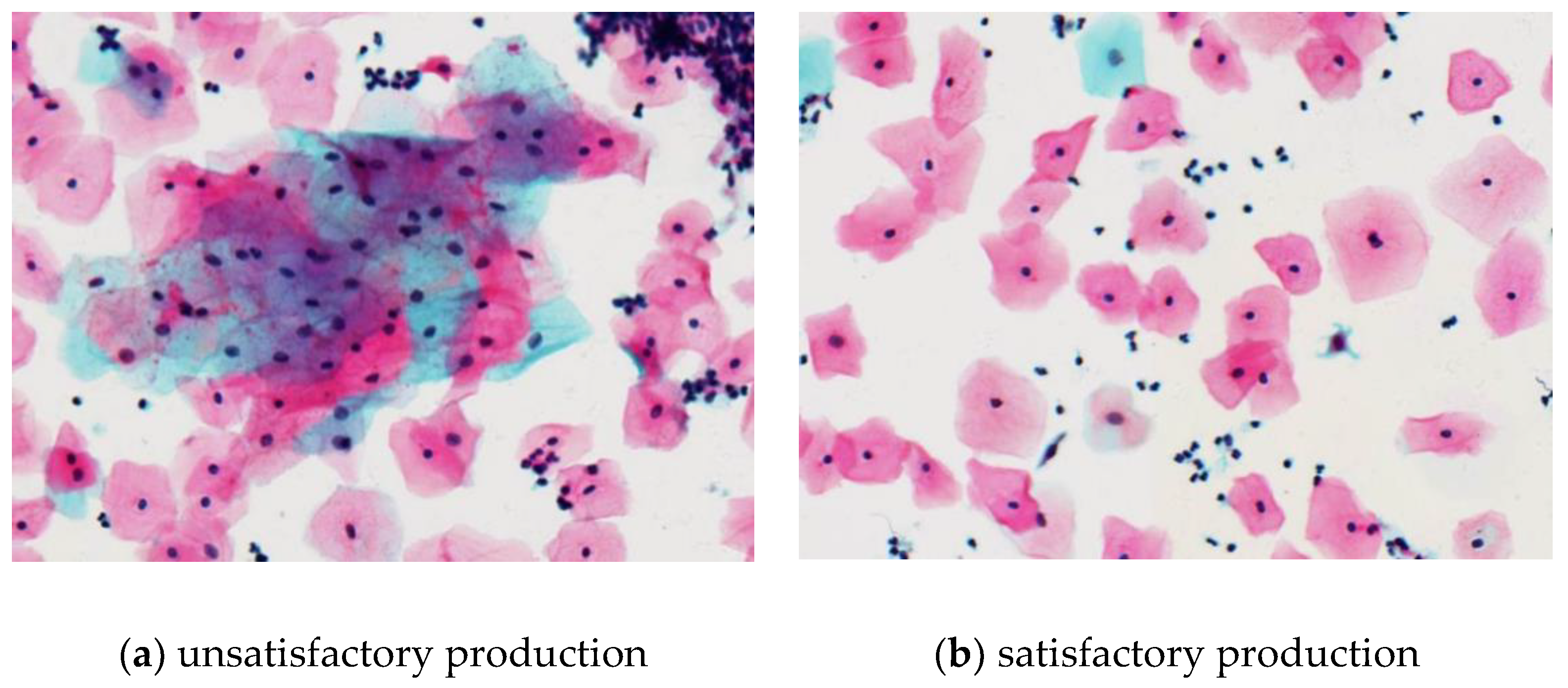 Applsci 10 00800 g012
