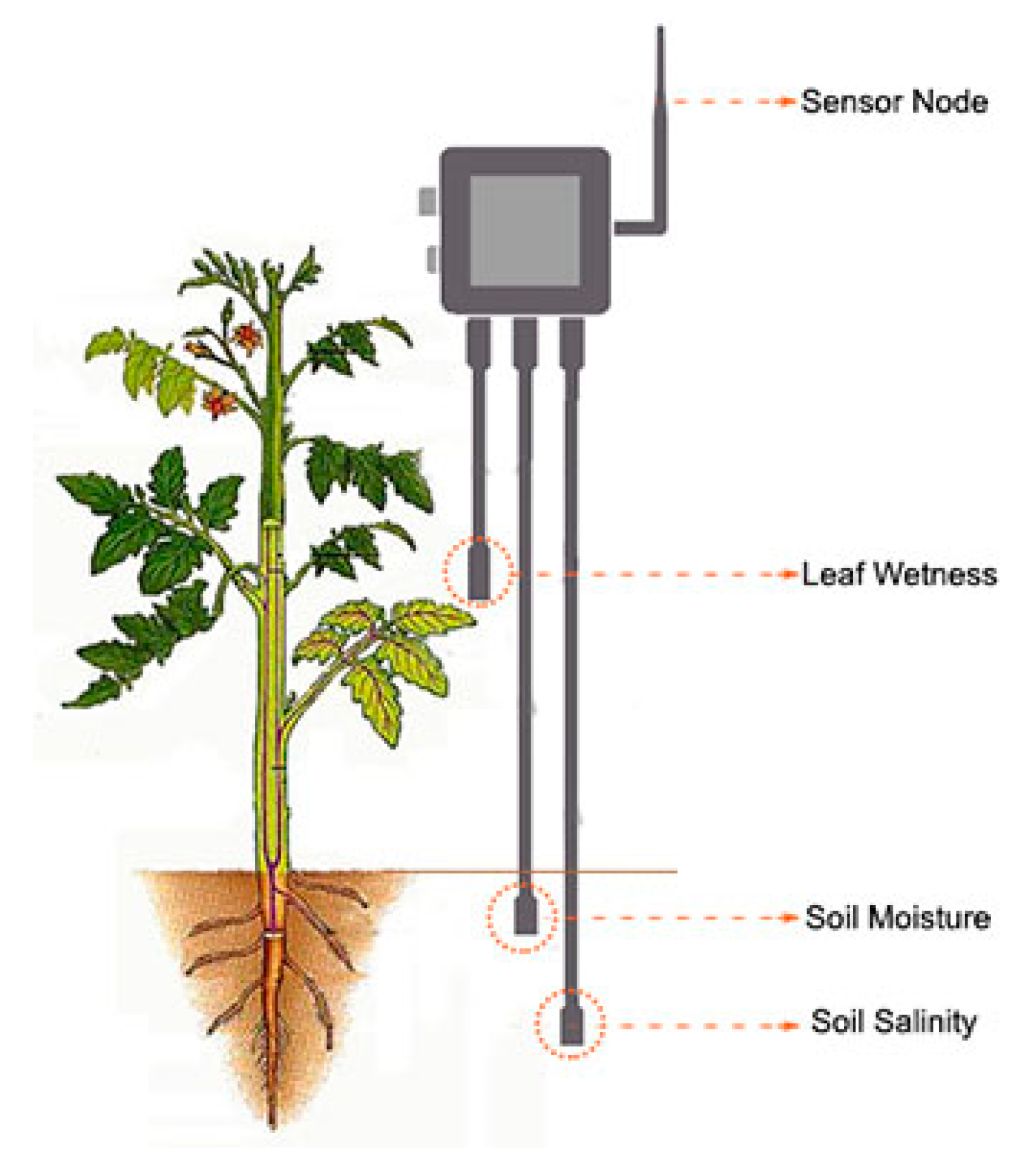 Applsci 10 00813 g004 Applsci 10 00813 g004