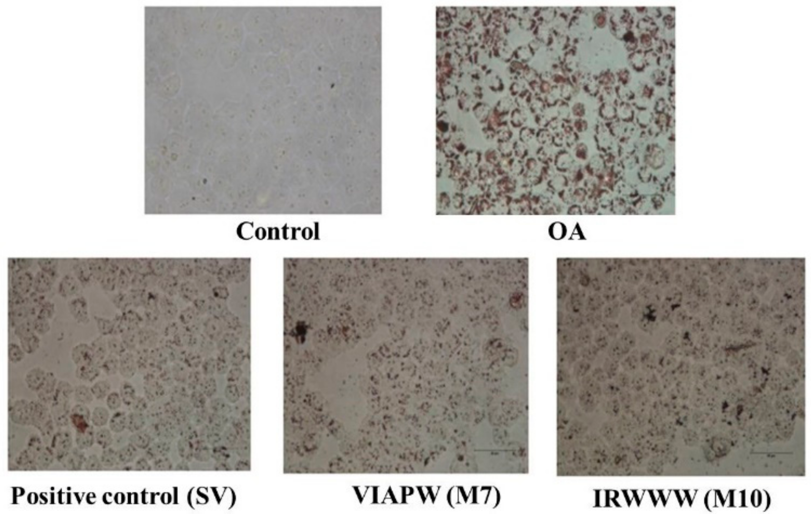 Applsci 10 00817 g003 Applsci 10 00817 g003