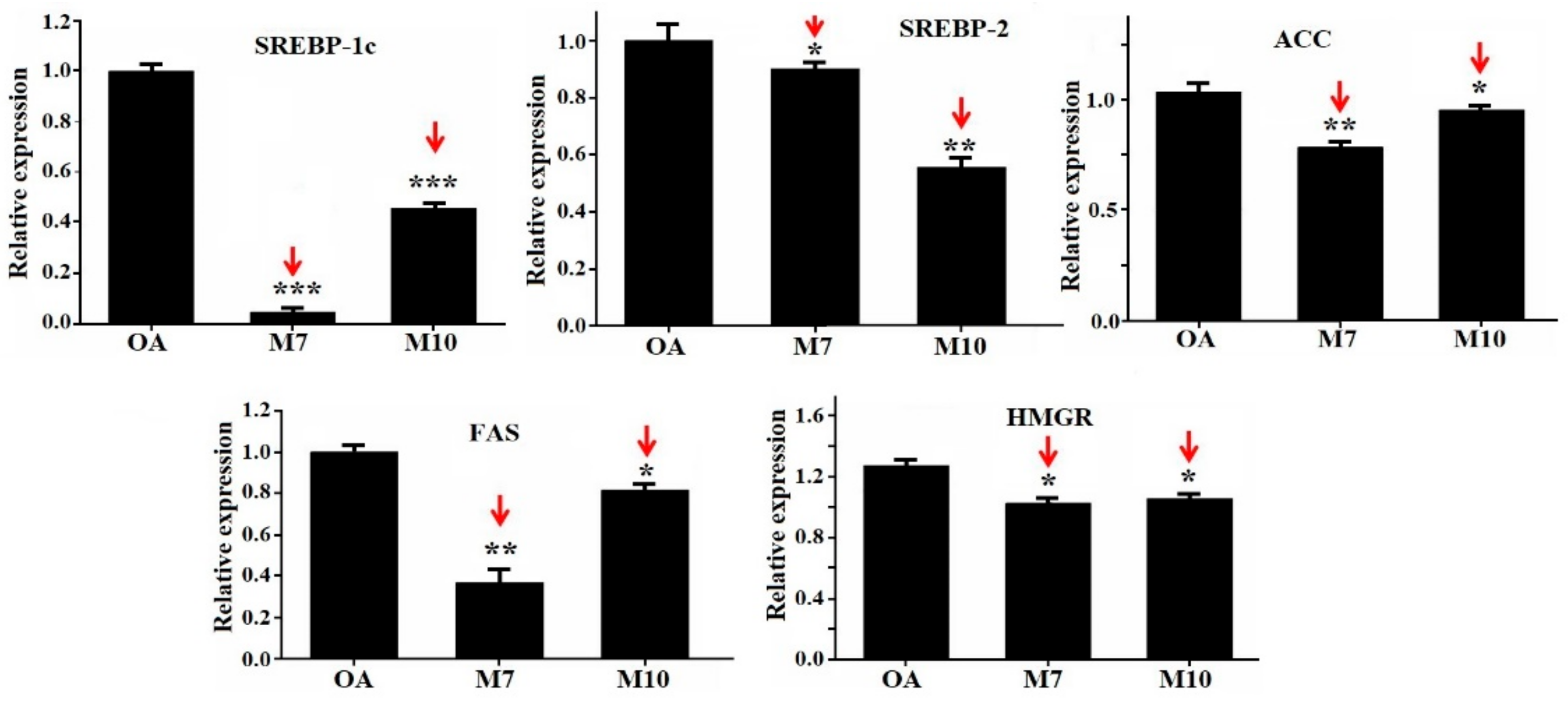 Applsci 10 00817 g005 Applsci 10 00817 g005