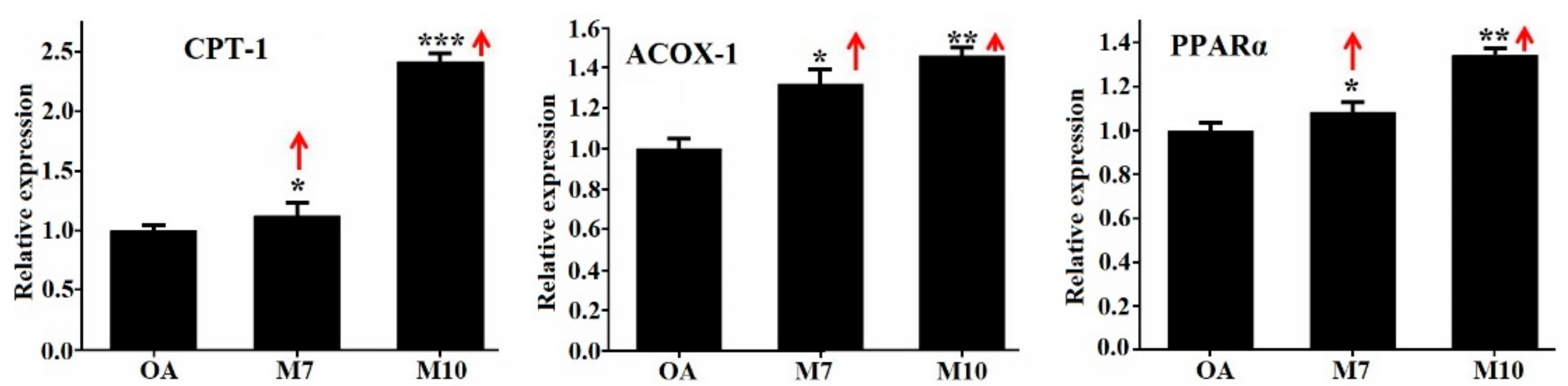 Applsci 10 00817 g006 Applsci 10 00817 g006