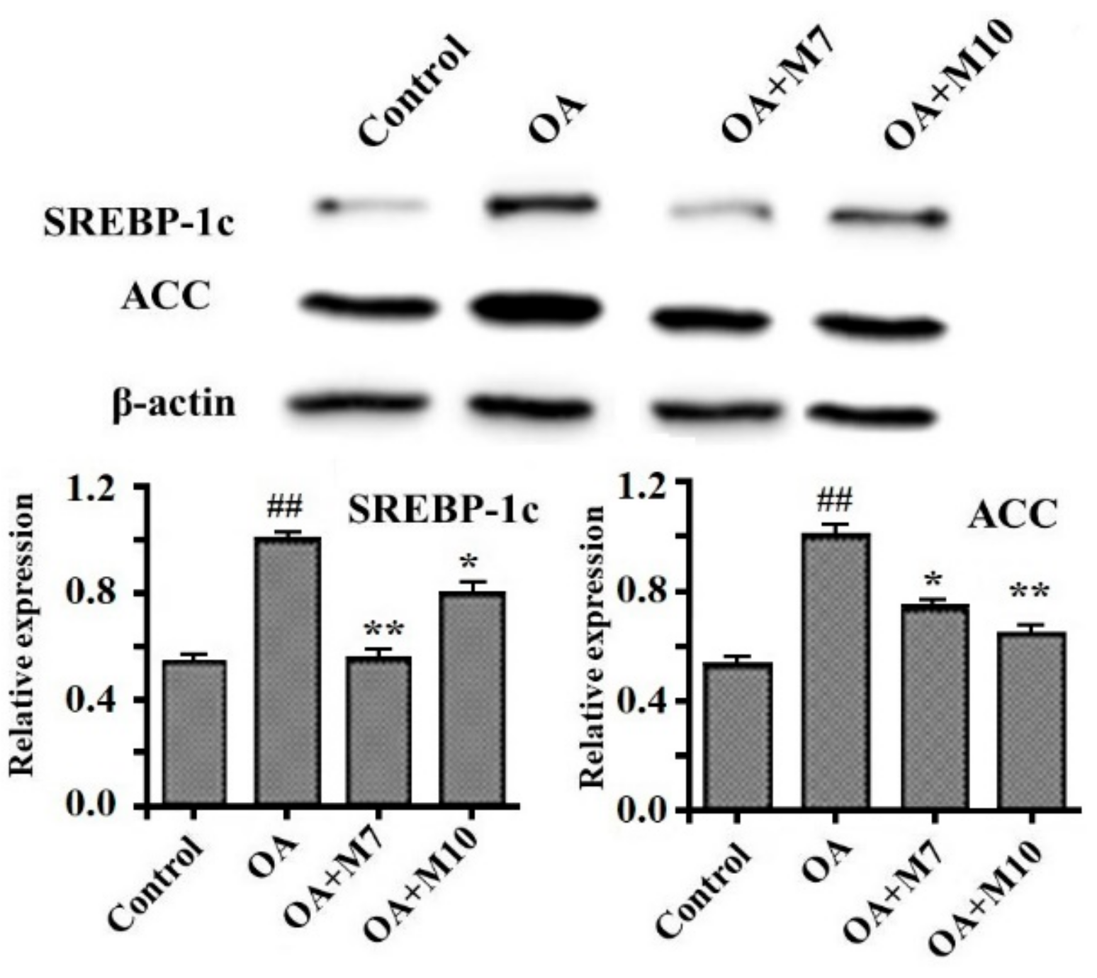 Applsci 10 00817 g007 Applsci 10 00817 g007