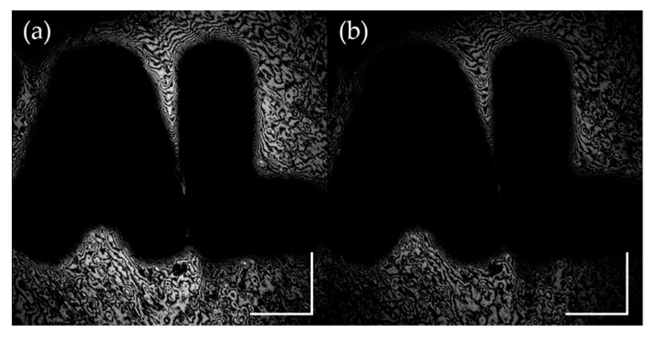 Applsci 10 00830 g003