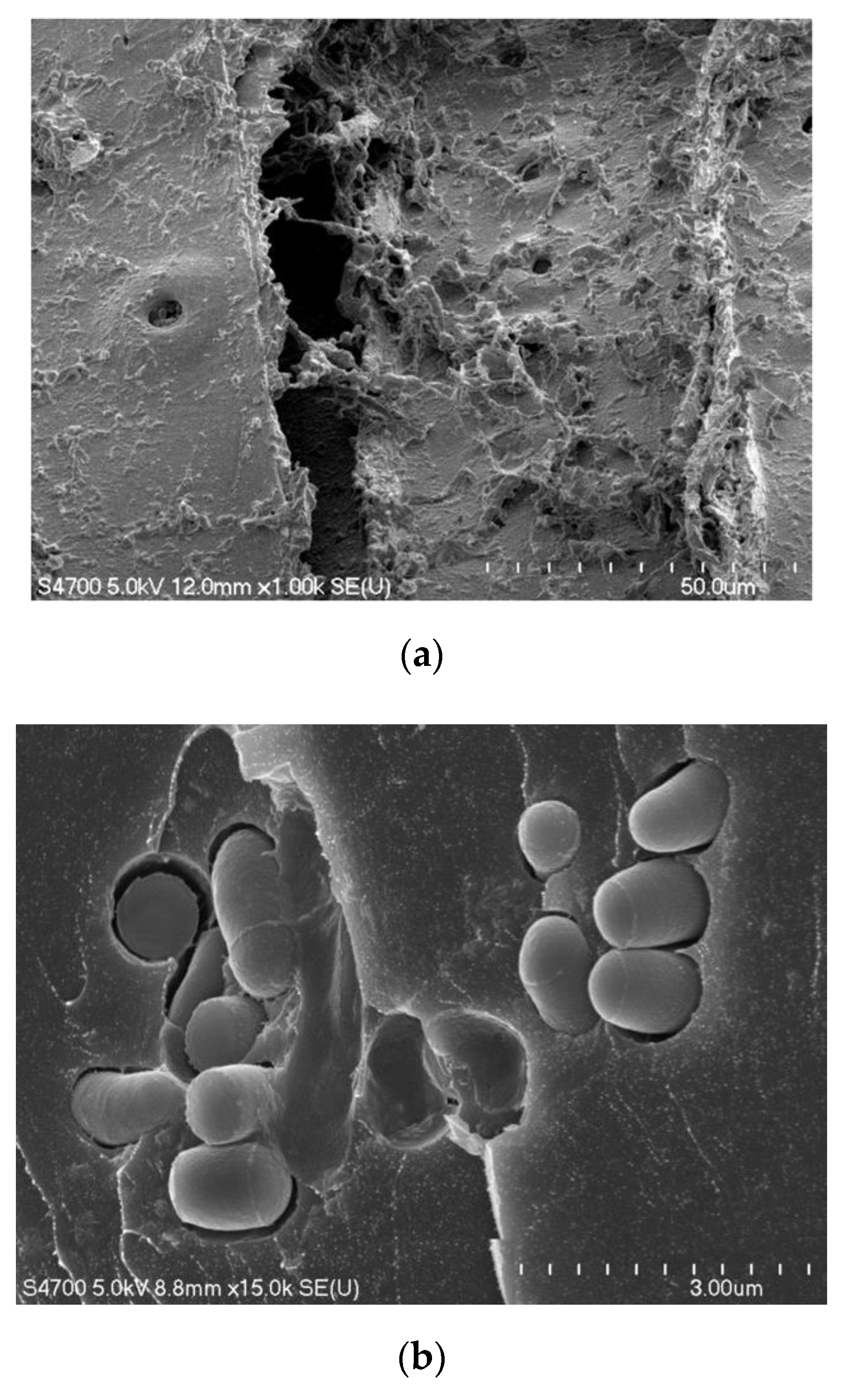 Applsci 10 00831 g002 Applsci 10 00831 g002