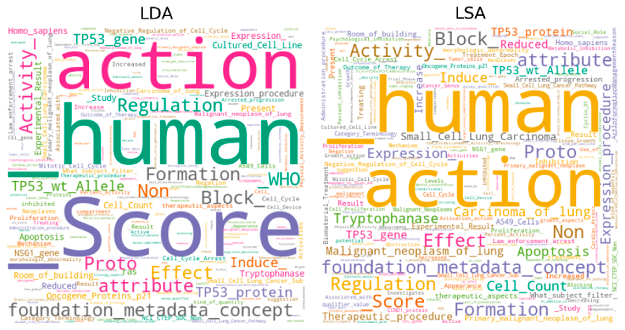 Applsci 10 00834 g003