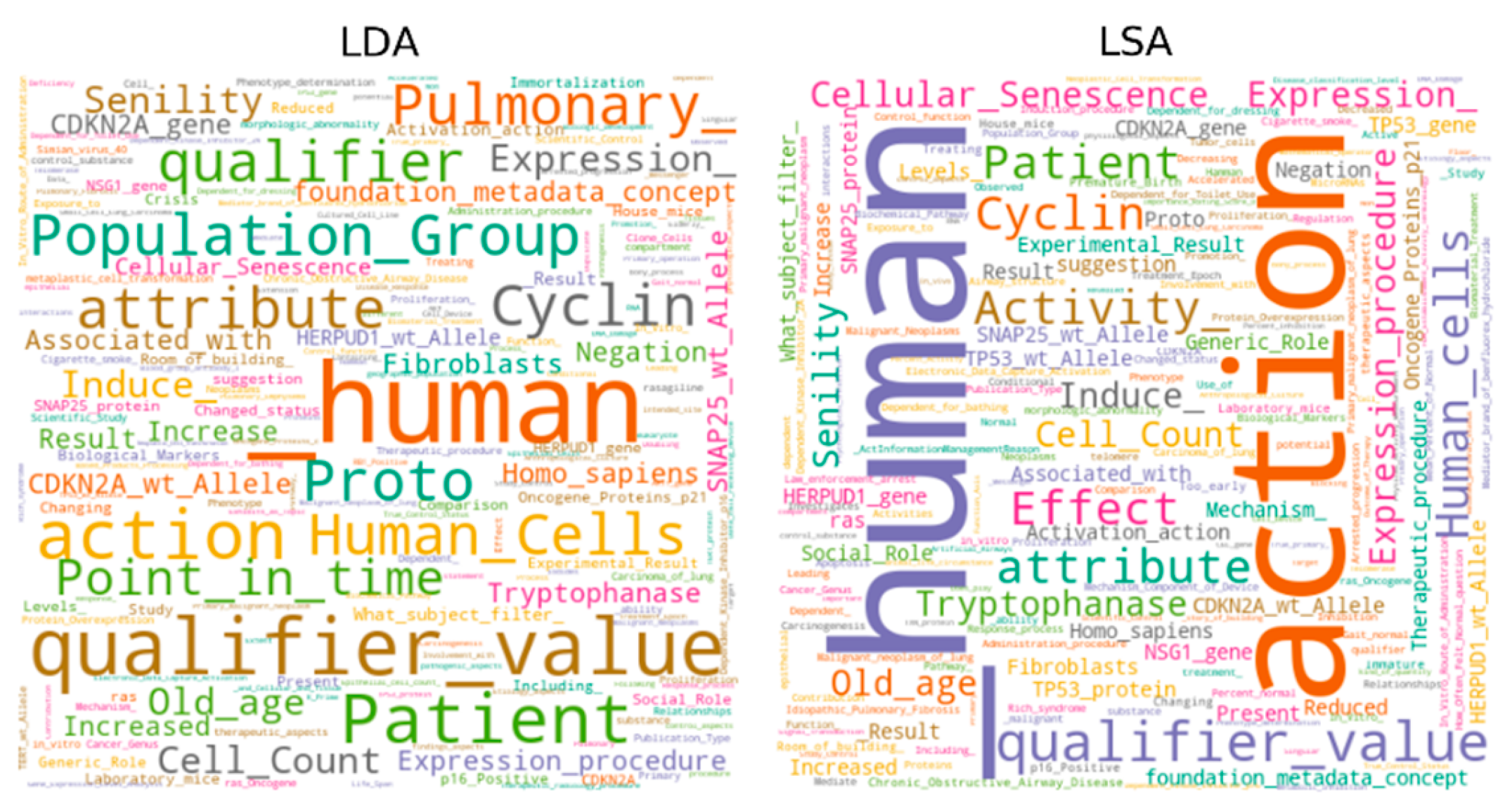 Applsci 10 00834 g005