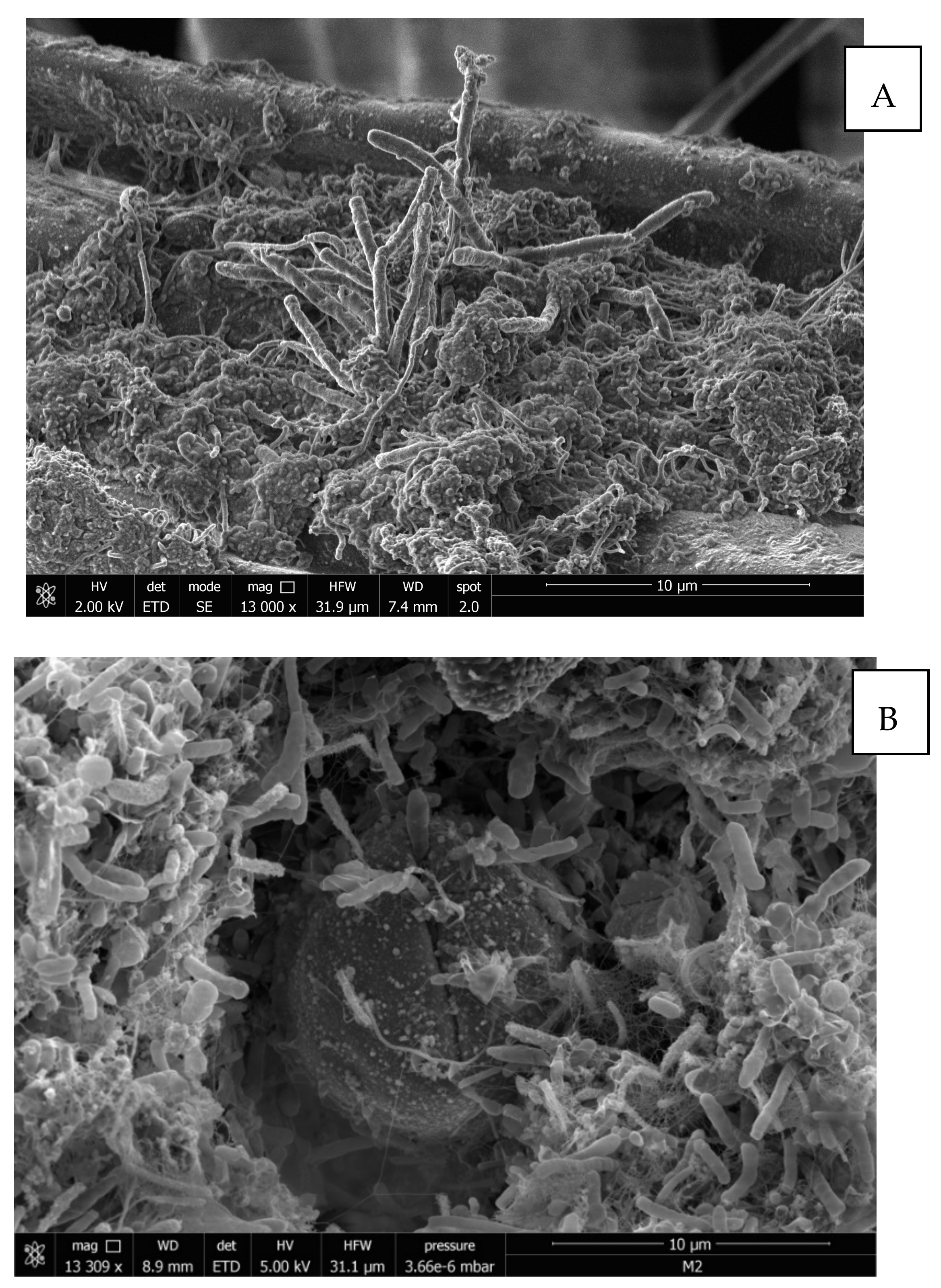 Applsci 10 00841 g006a Applsci 10 00841 g006a