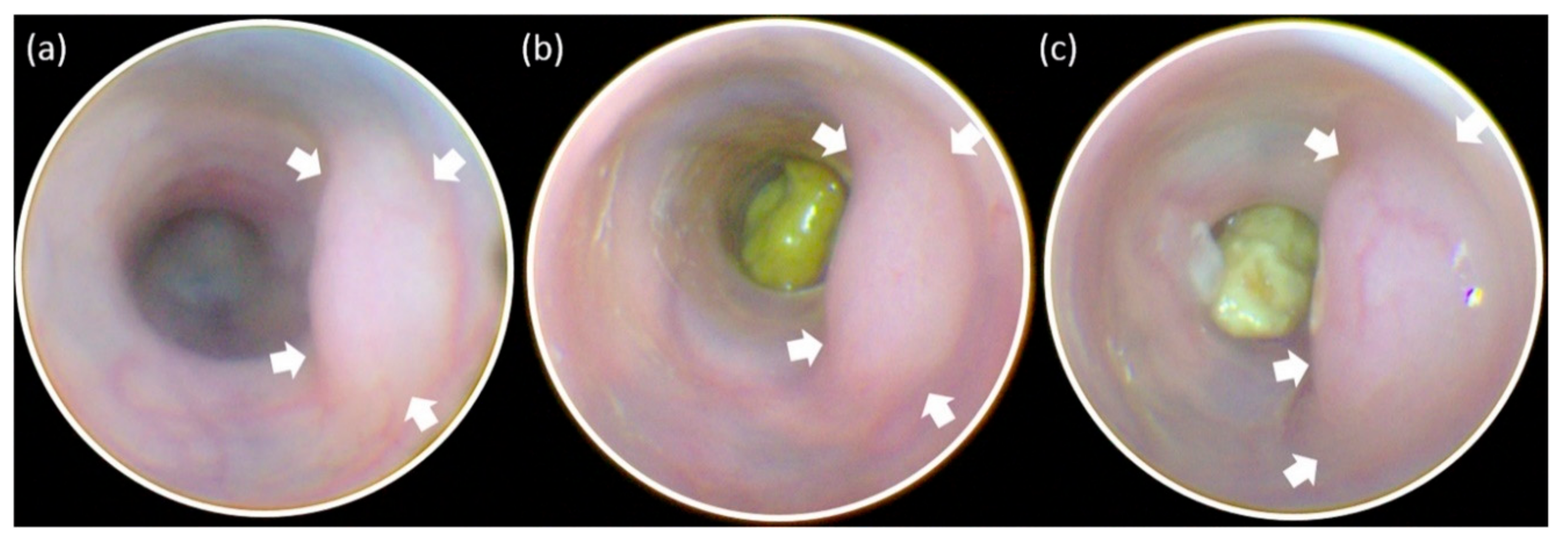 Applsci 10 00844 g003 Applsci 10 00844 g003