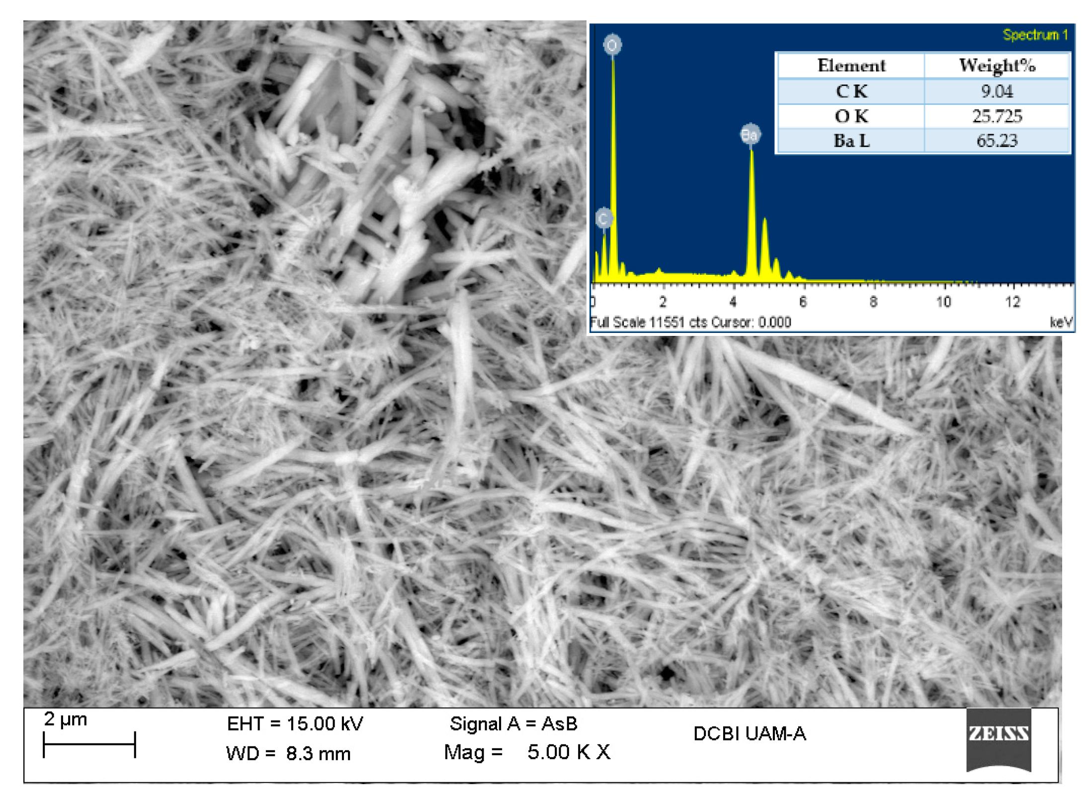 Applsci 10 00863 g007 Applsci 10 00863 g007