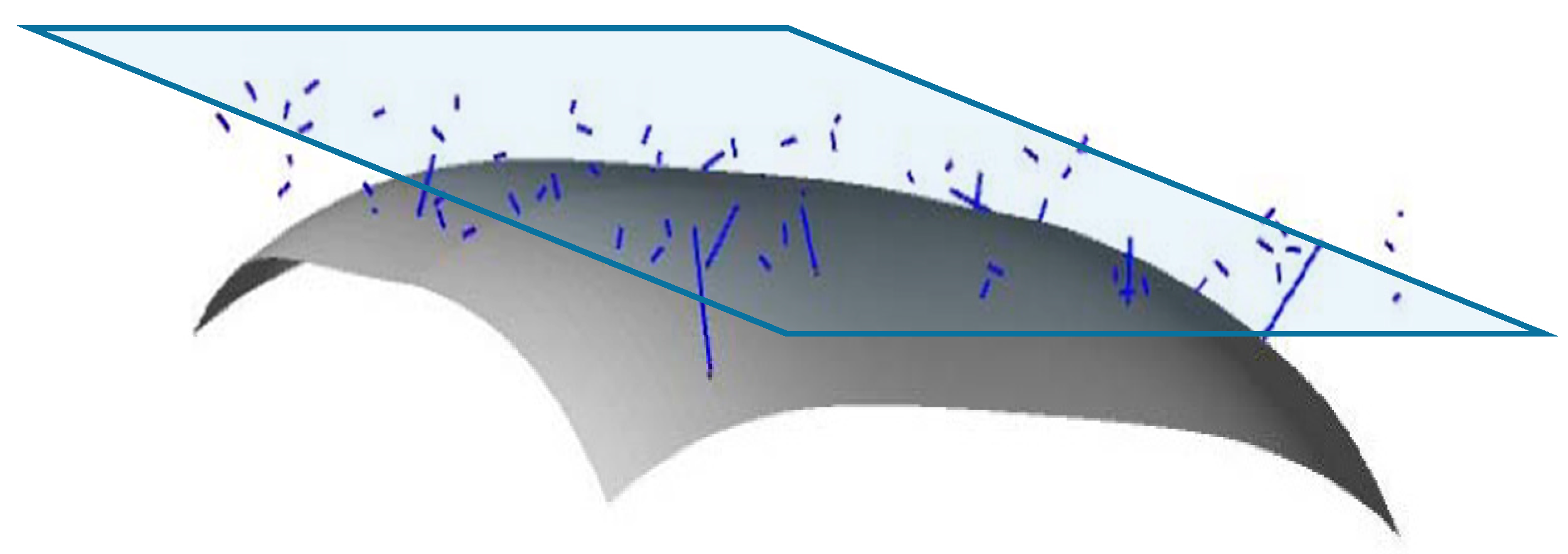 Applsci 10 00872 g007 Applsci 10 00872 g007