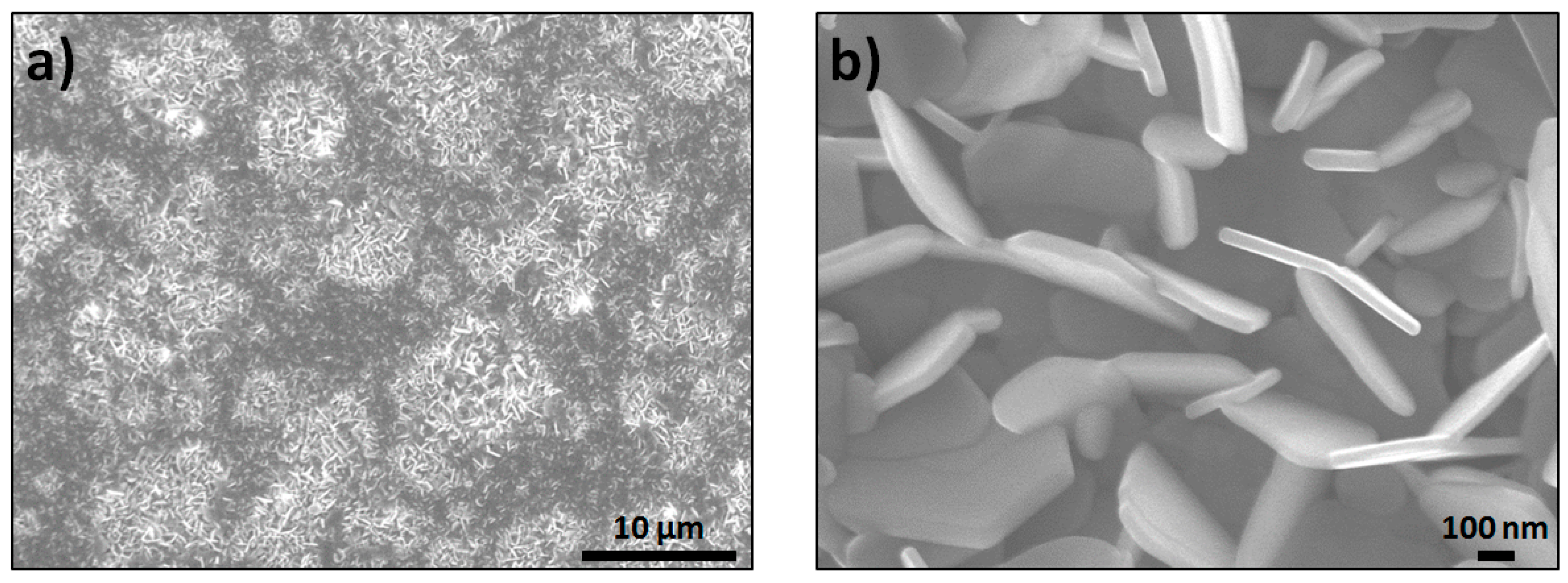 Applsci 10 00874 g001 Applsci 10 00874 g001