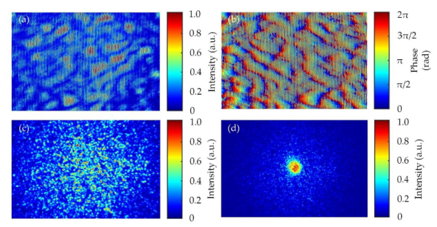 Applsci 10 00875 g008 Applsci 10 00875 g008