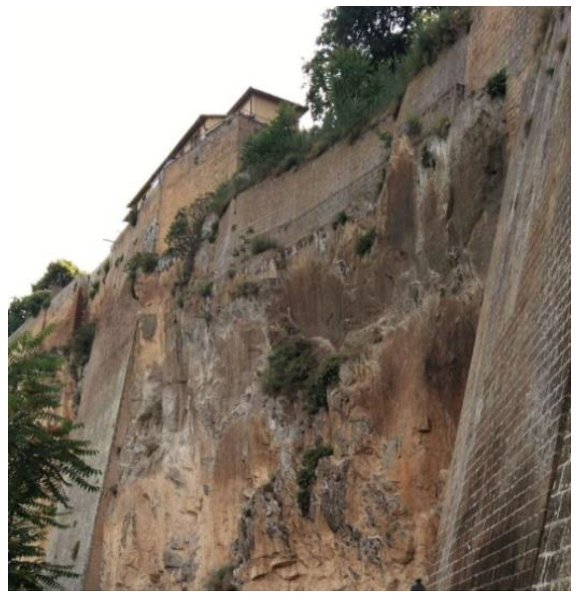 Applsci 10 00899 g001 Applsci 10 00899 g001