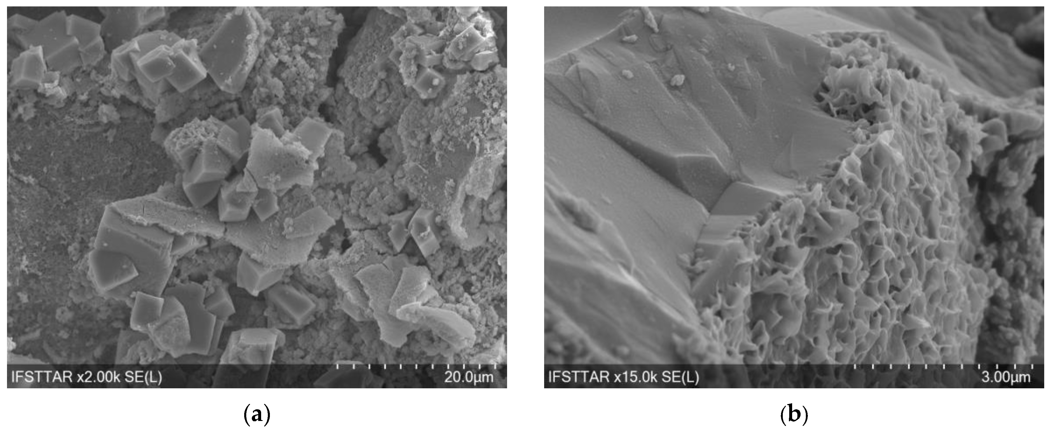 Applsci 10 00899 g002 Applsci 10 00899 g002