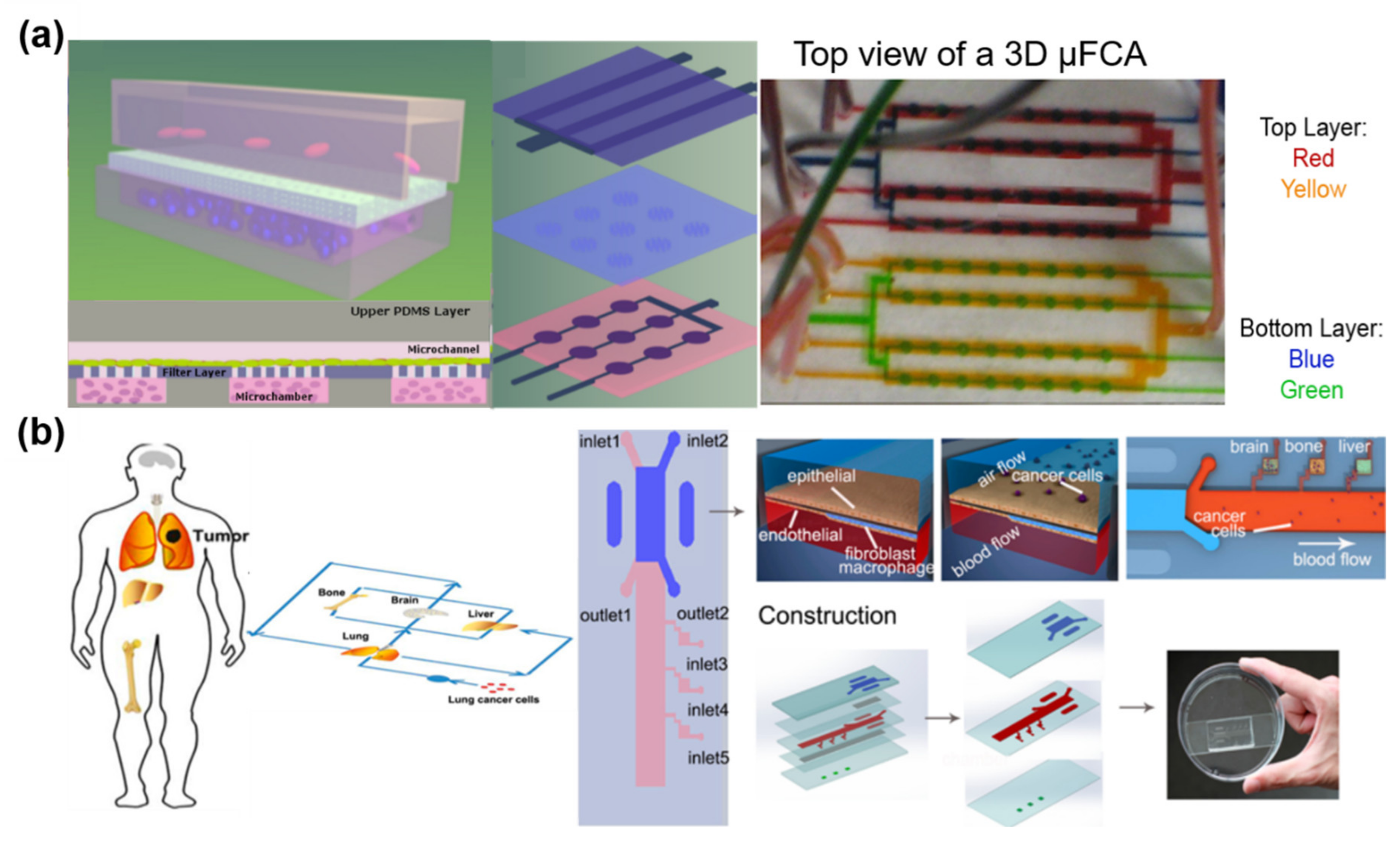 Applsci 10 00900 g003