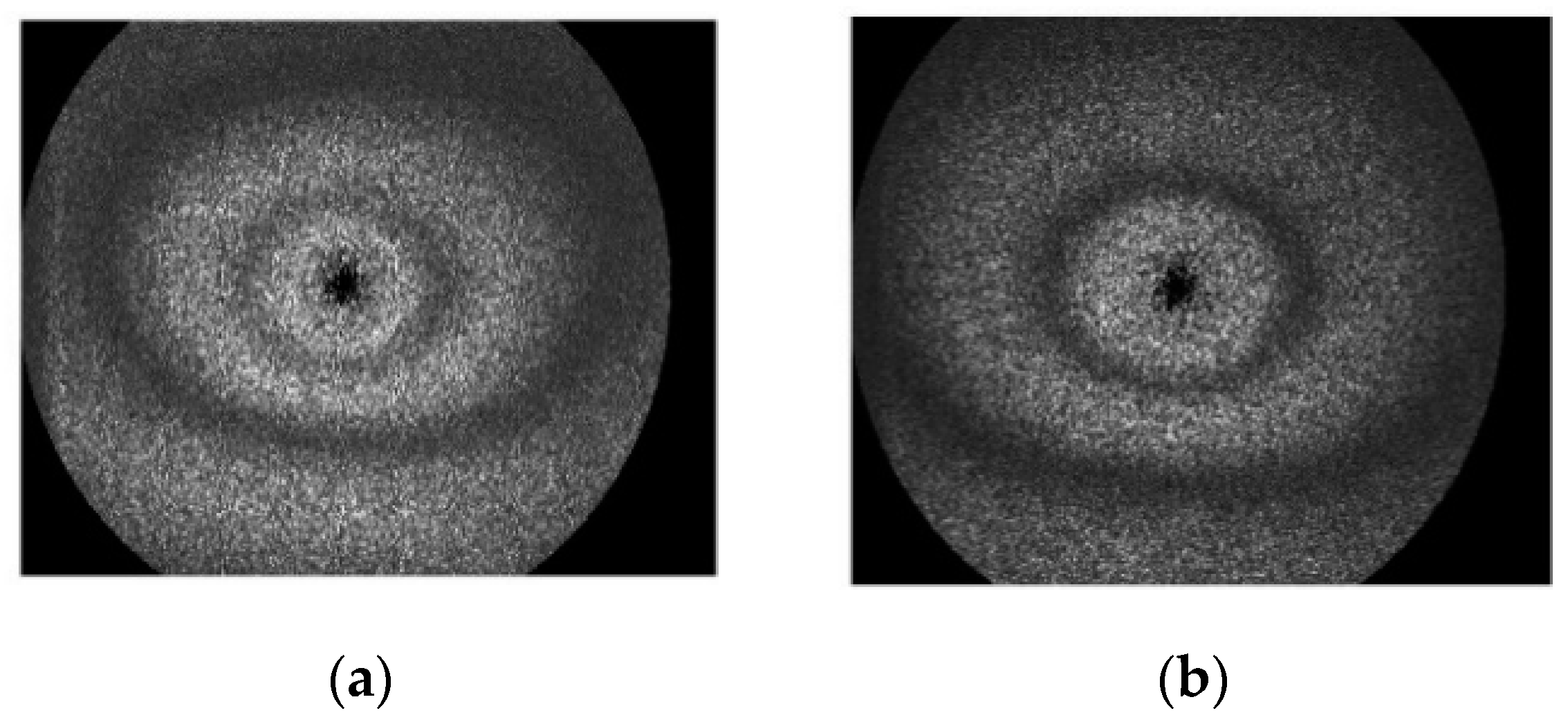 Applsci 10 00908 g006a