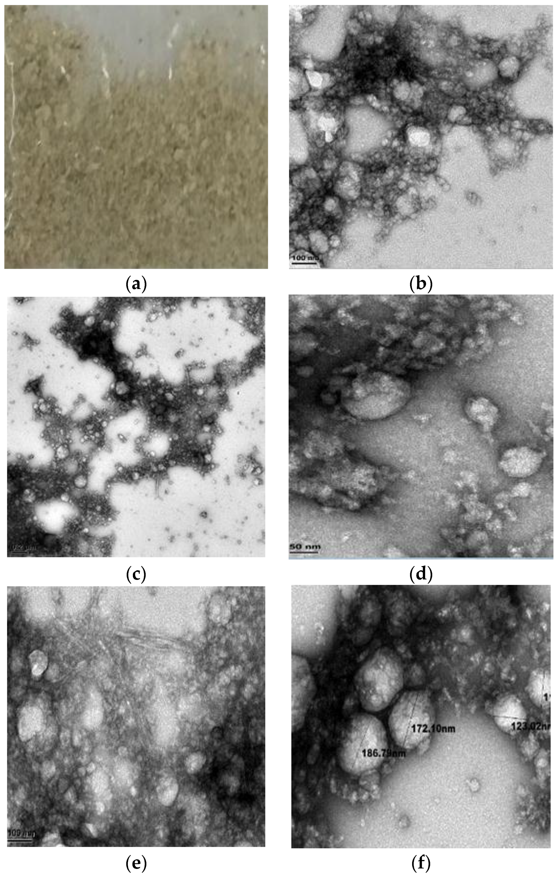 Applsci 10 00916 g001 Applsci 10 00916 g001