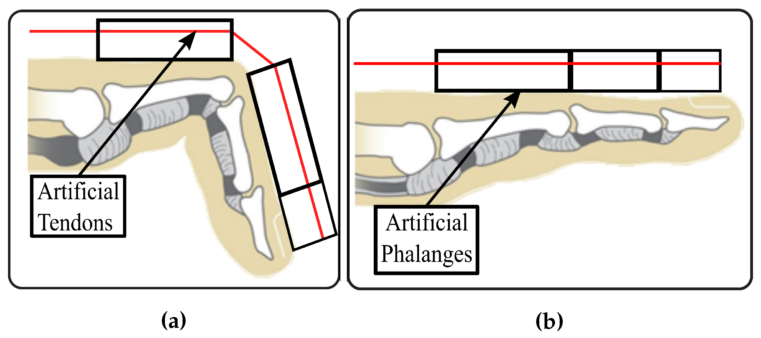 Applsci 10 00920 g003 Applsci 10 00920 g003
