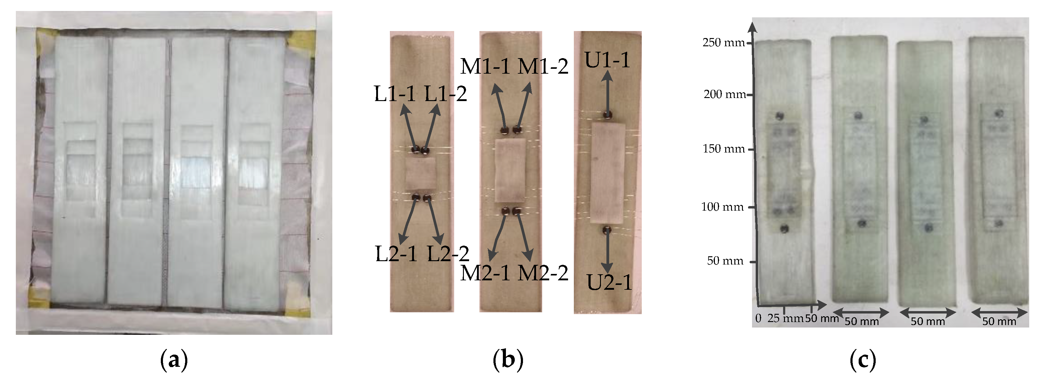 Applsci 10 00922 g010