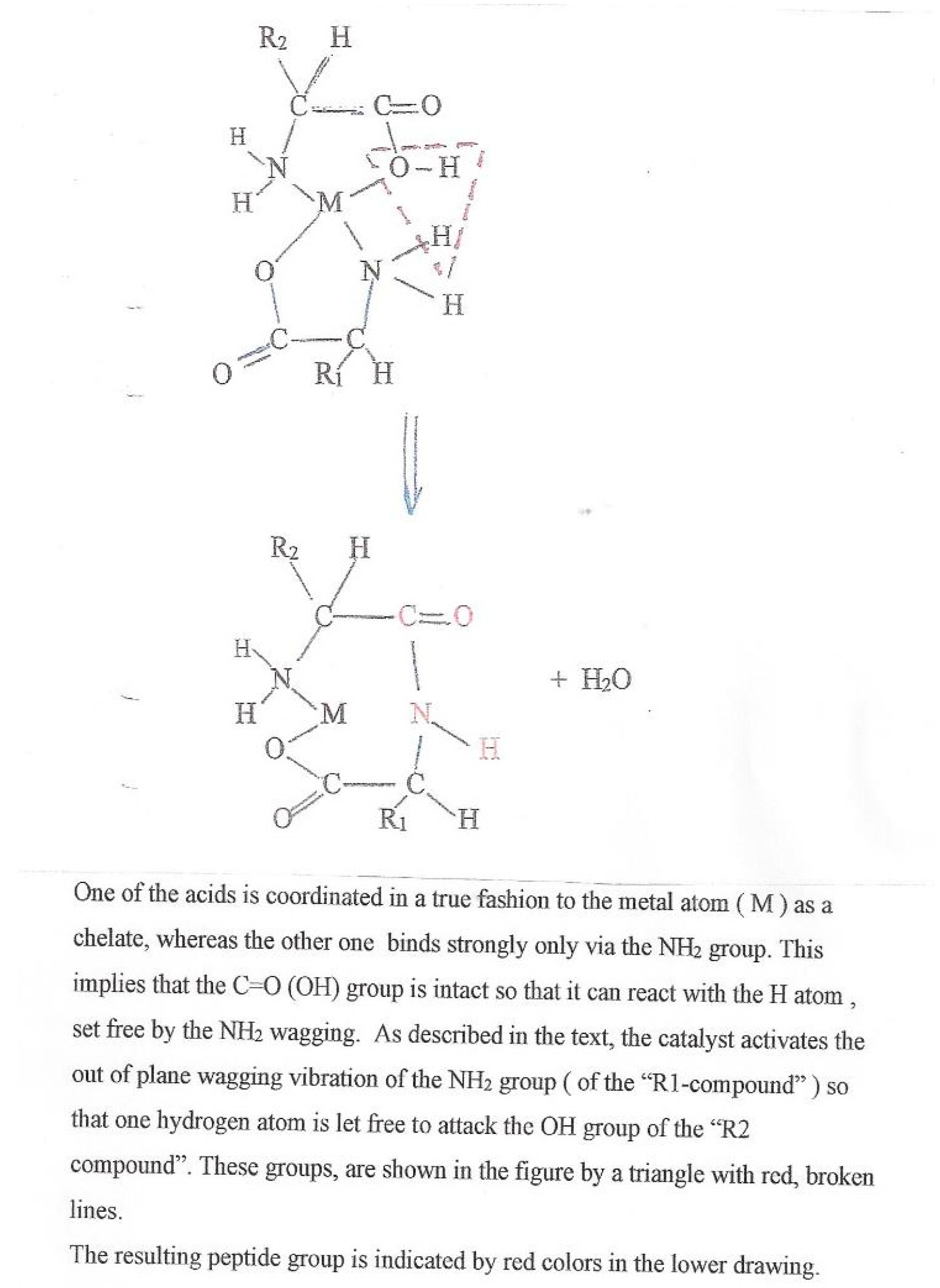 Applsci 10 00928 sch001 Applsci 10 00928 sch001