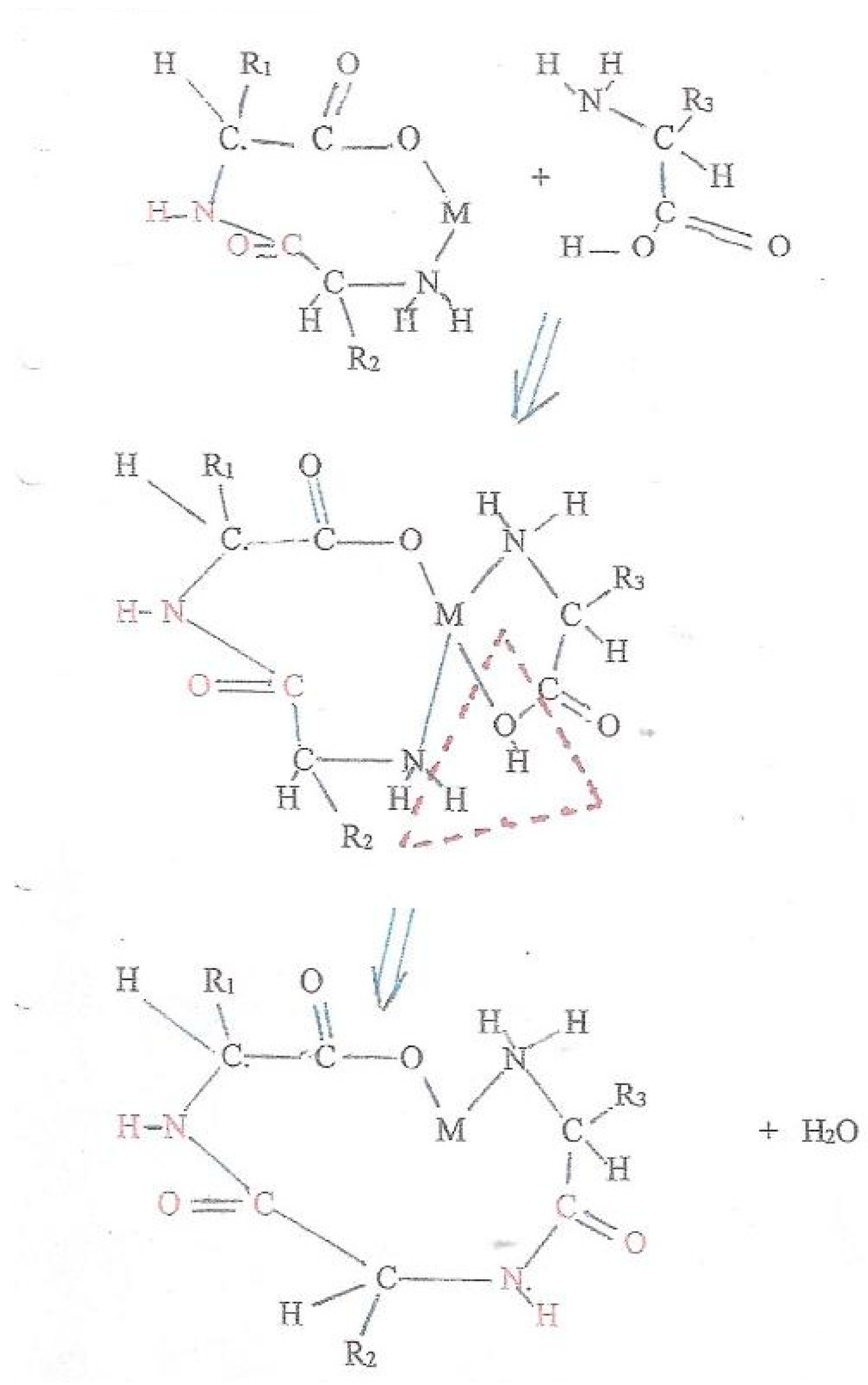 Applsci 10 00928 sch002 Applsci 10 00928 sch002