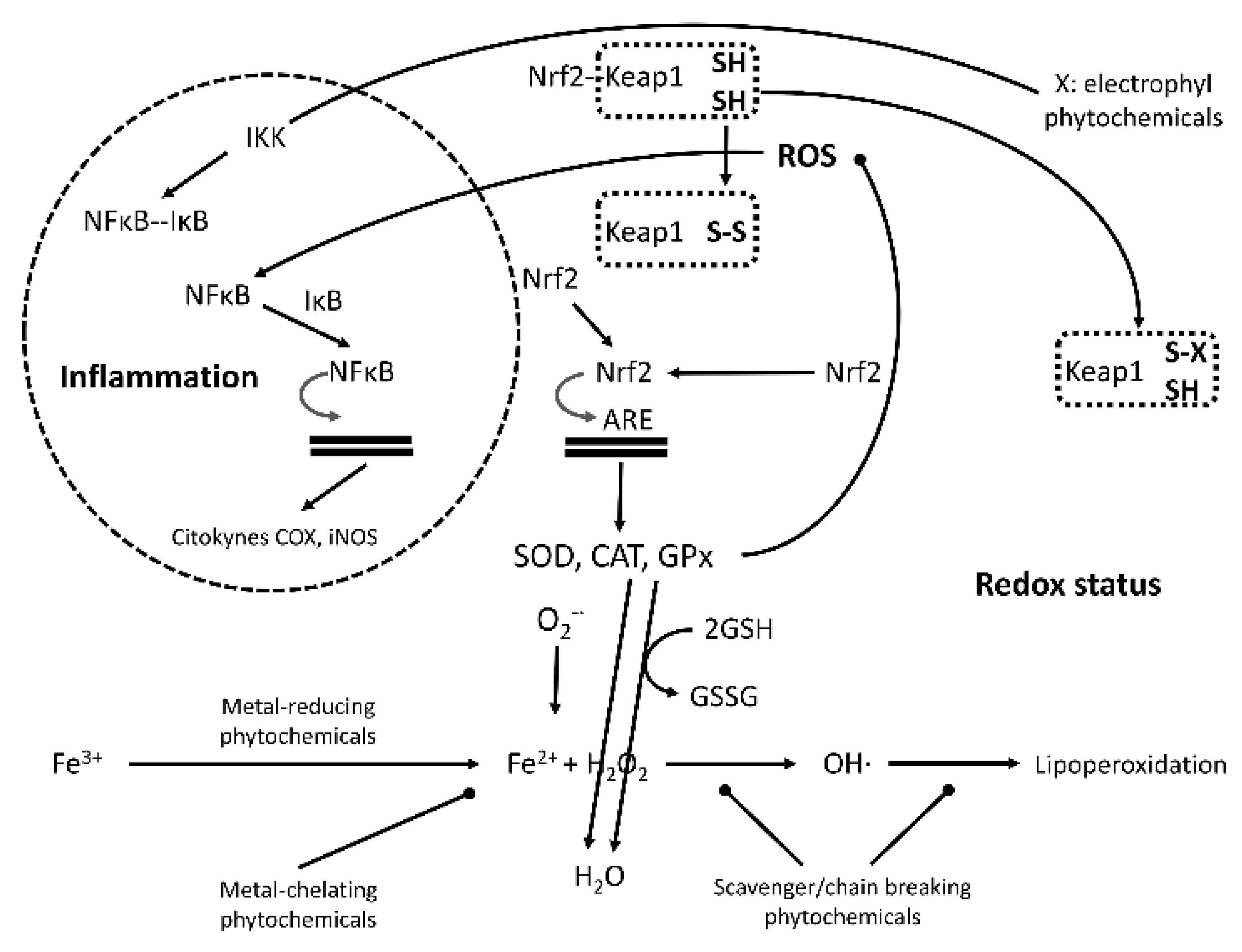 Applsci 10 00947 g003 Applsci 10 00947 g003