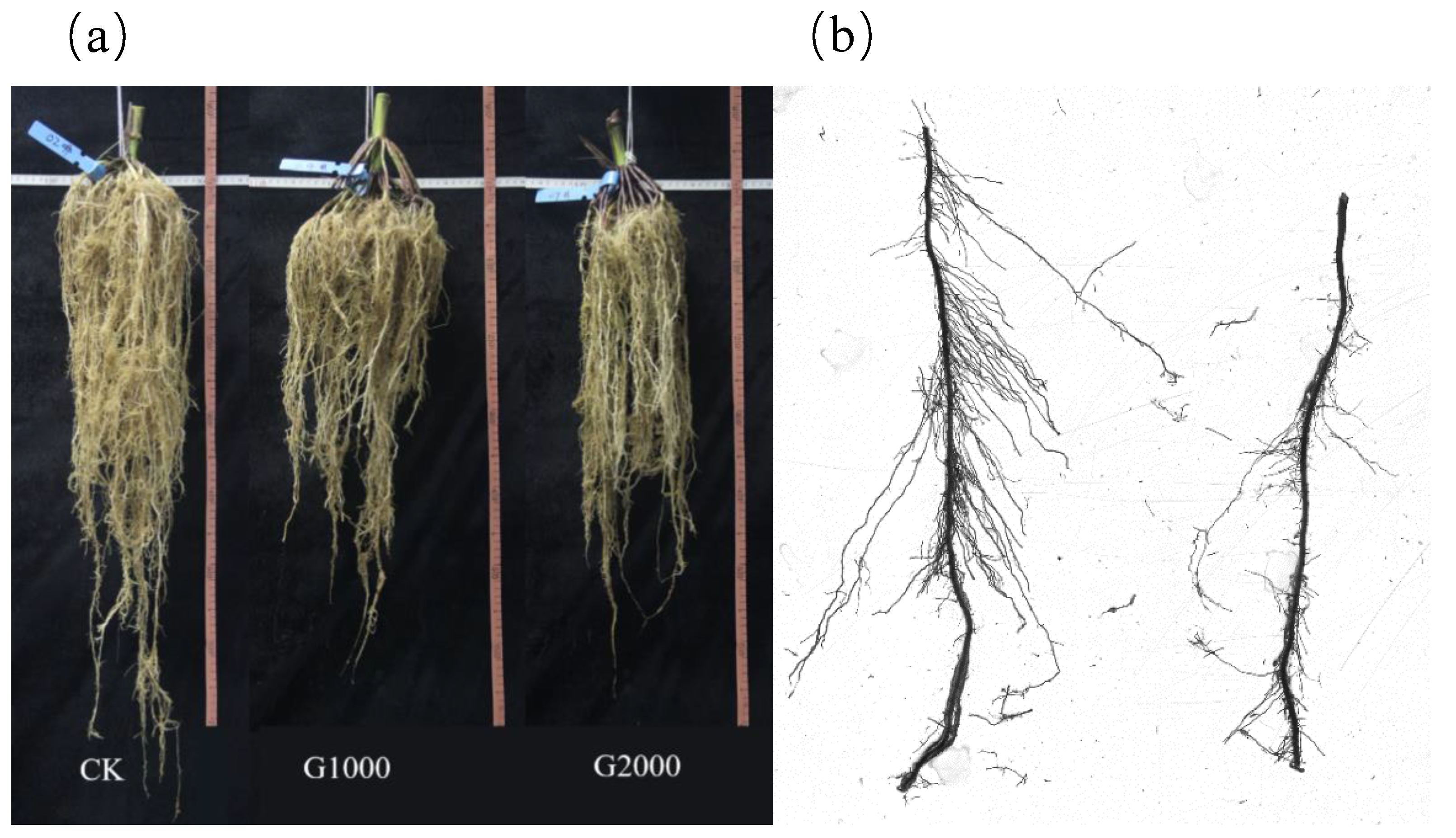 Applsci 10 00968 g002 Applsci 10 00968 g002