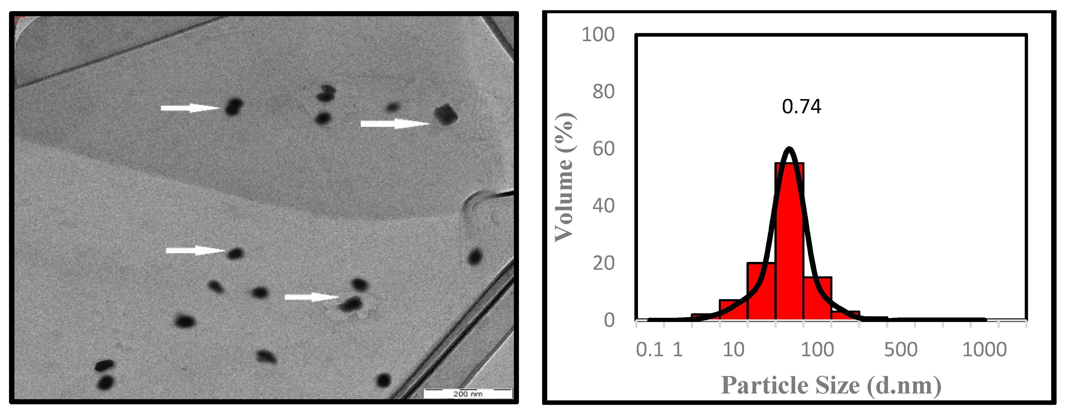 Applsci 10 00985 g007 Applsci 10 00985 g007