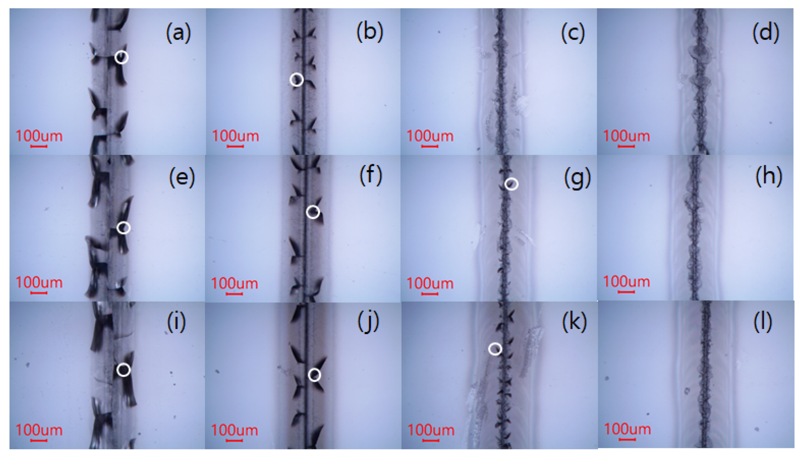 Applsci 10 00987 g004 Applsci 10 00987 g004