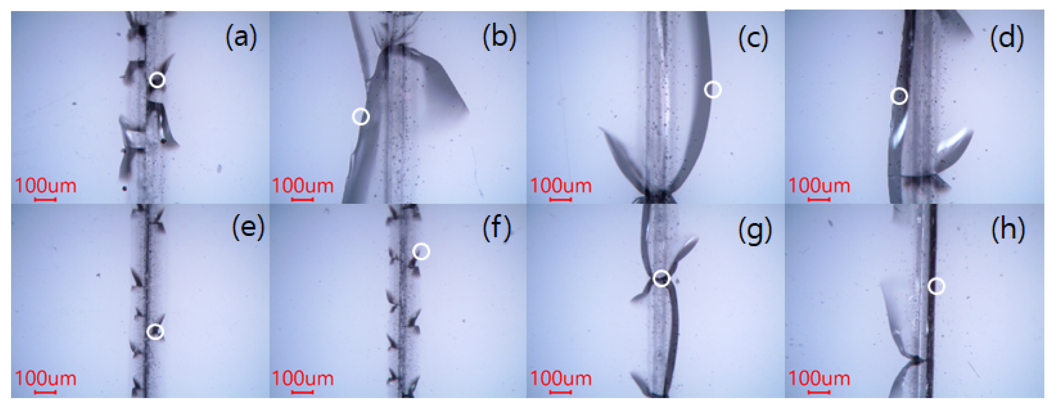 Applsci 10 00987 g005 Applsci 10 00987 g005
