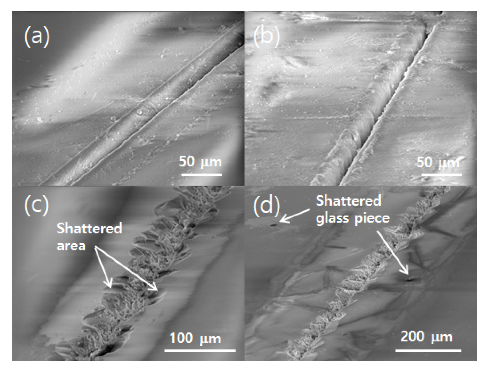 Applsci 10 00987 g007 Applsci 10 00987 g007