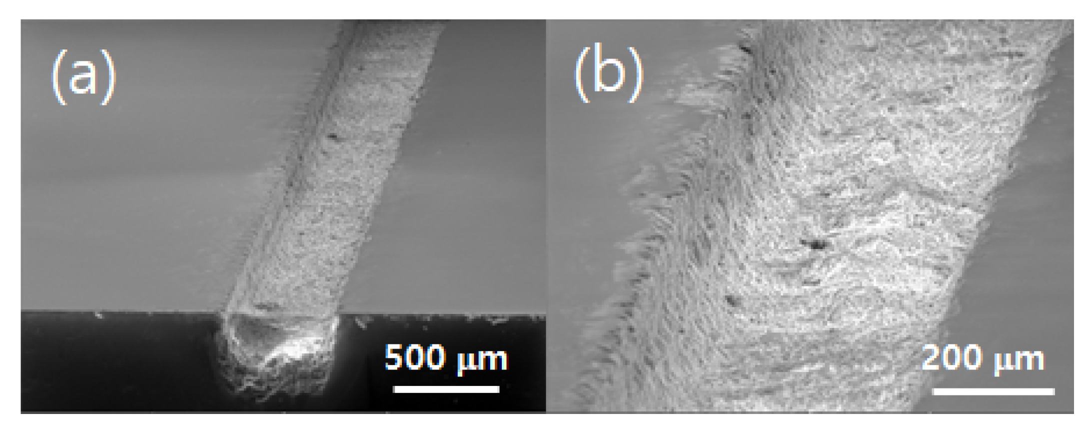 Applsci 10 00987 g013 Applsci 10 00987 g013